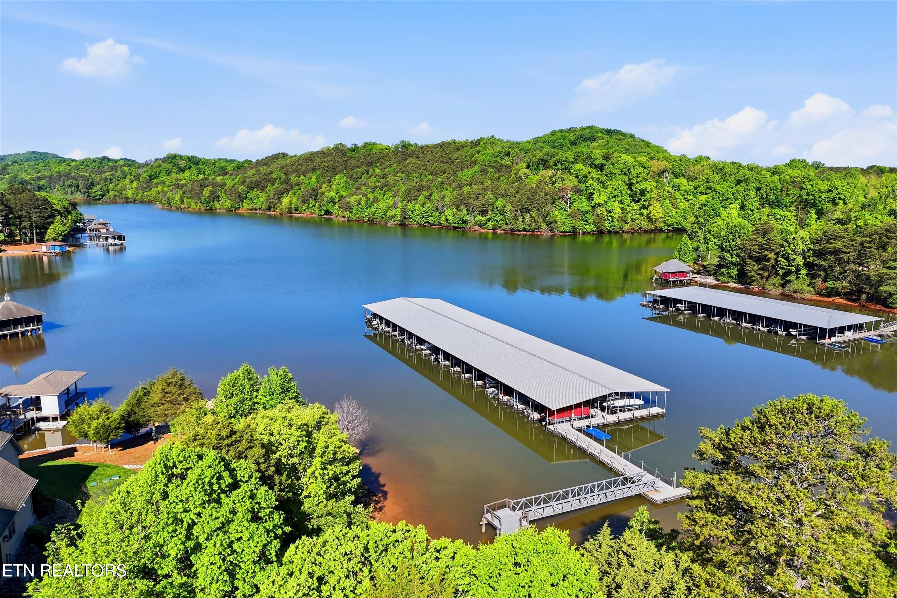 261 White Swan Drive Vonore TN 37885