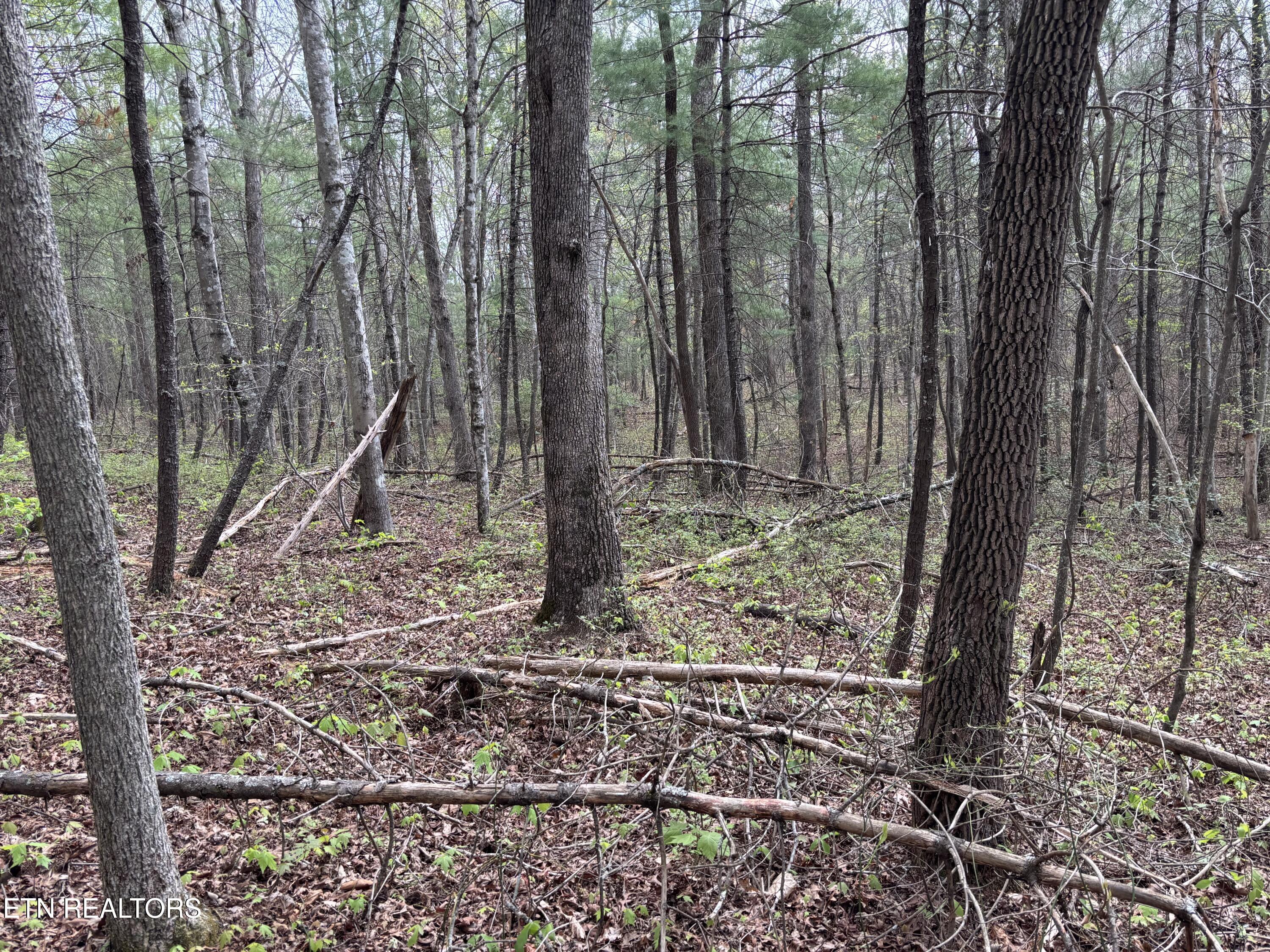 182 Nydeck Road Robbins TN 37852