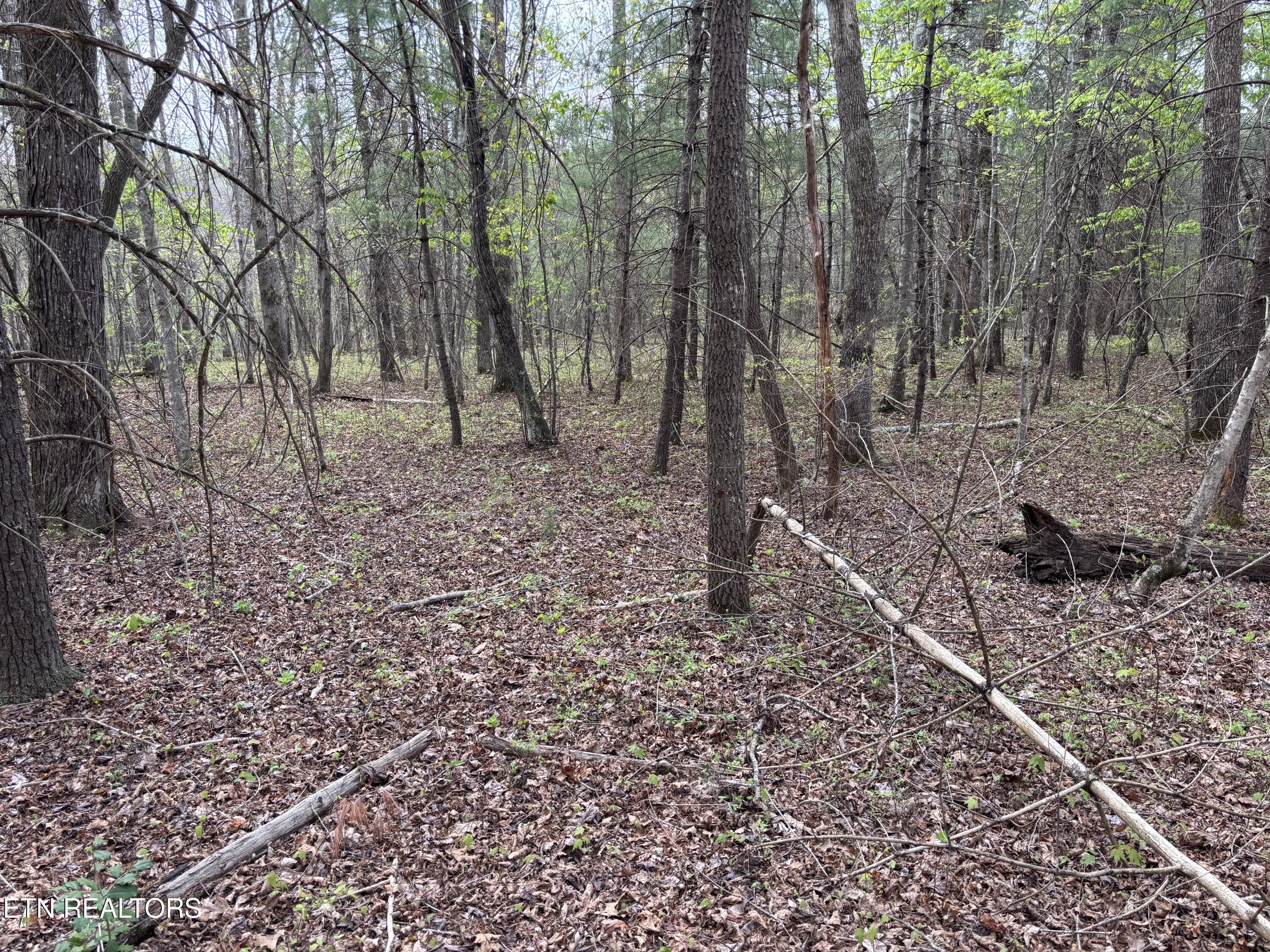 182 Nydeck Road Robbins TN 37852