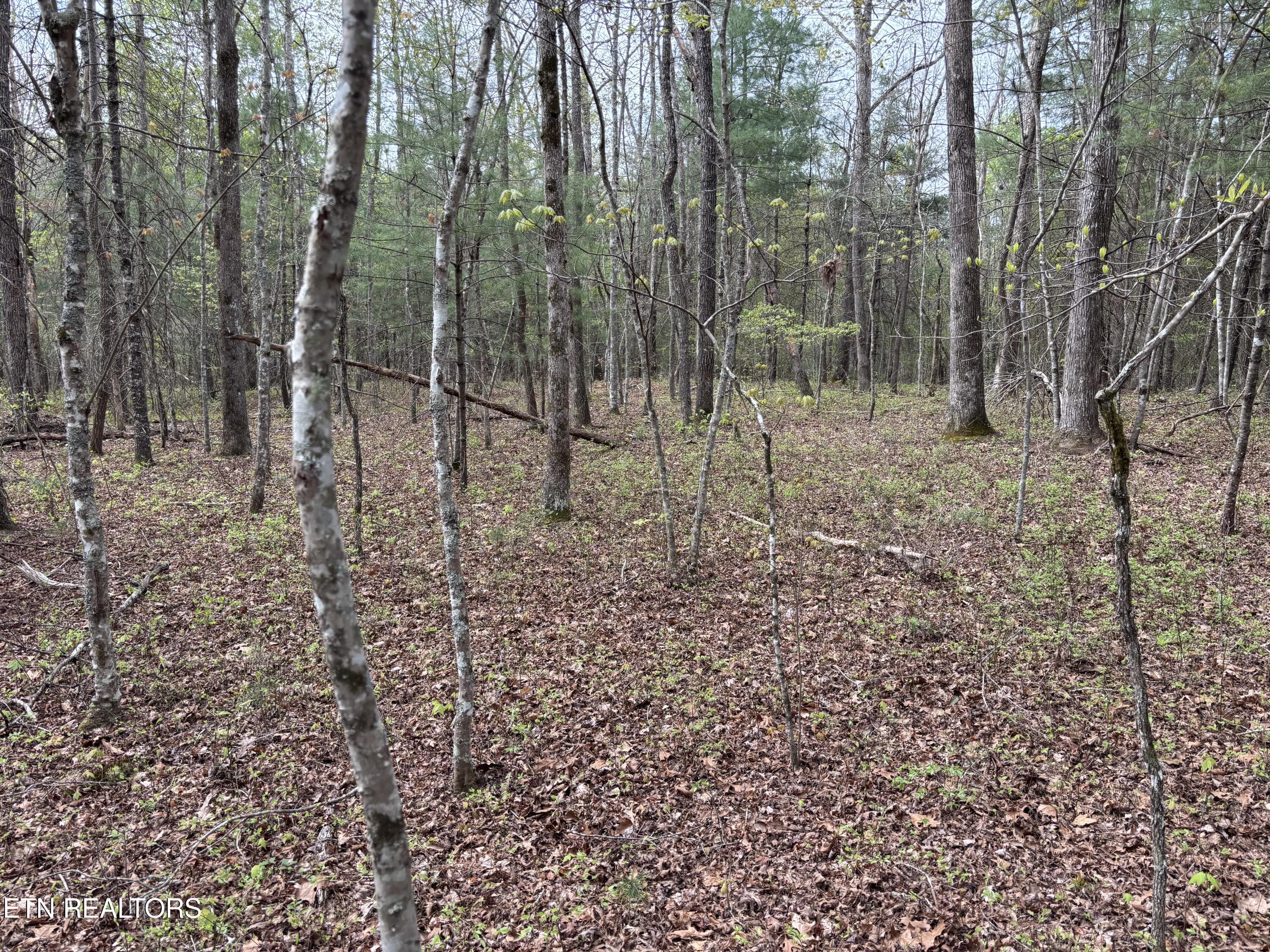 182 Nydeck Road Robbins TN 37852