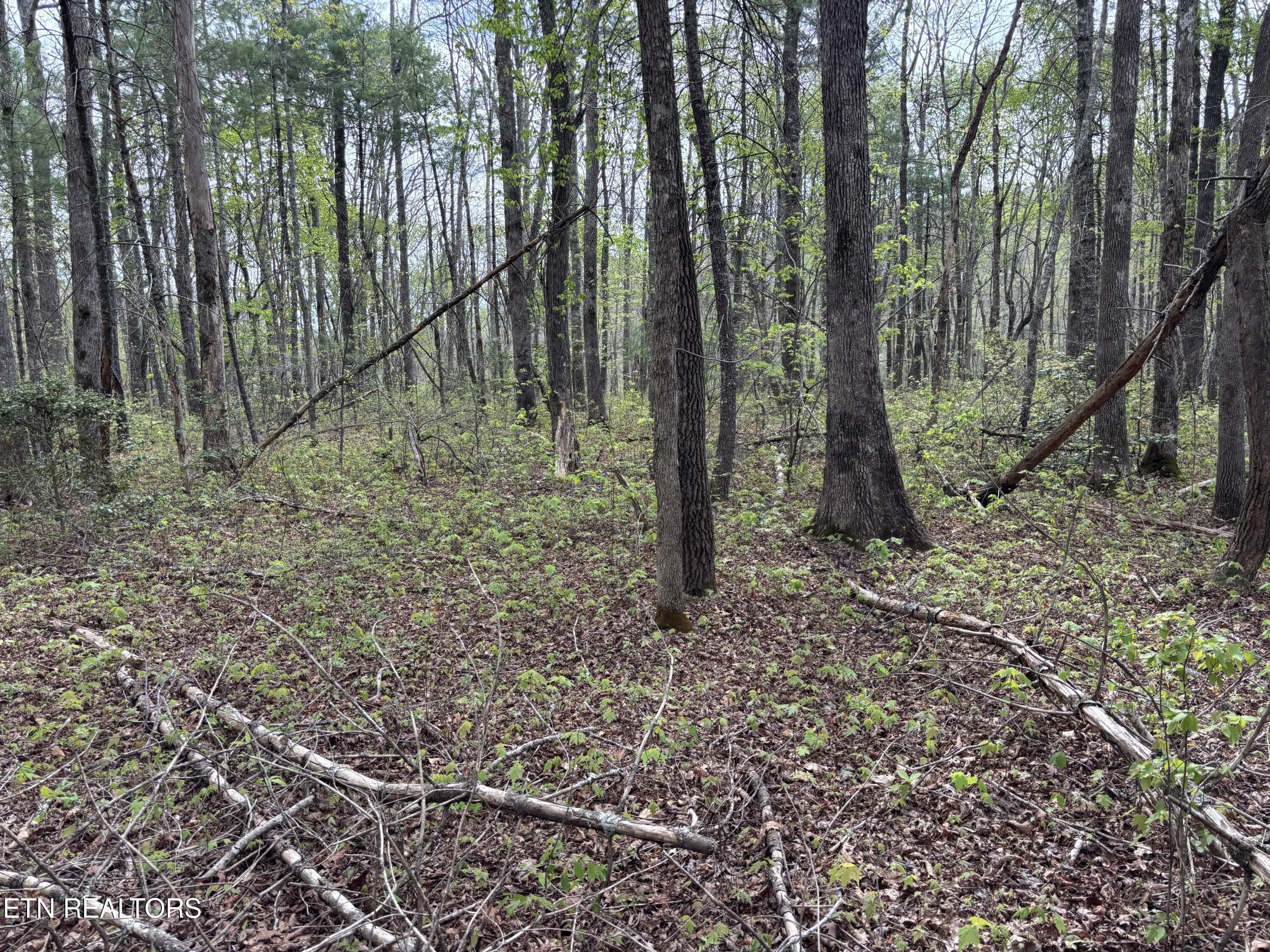 182 Nydeck Road Robbins TN 37852