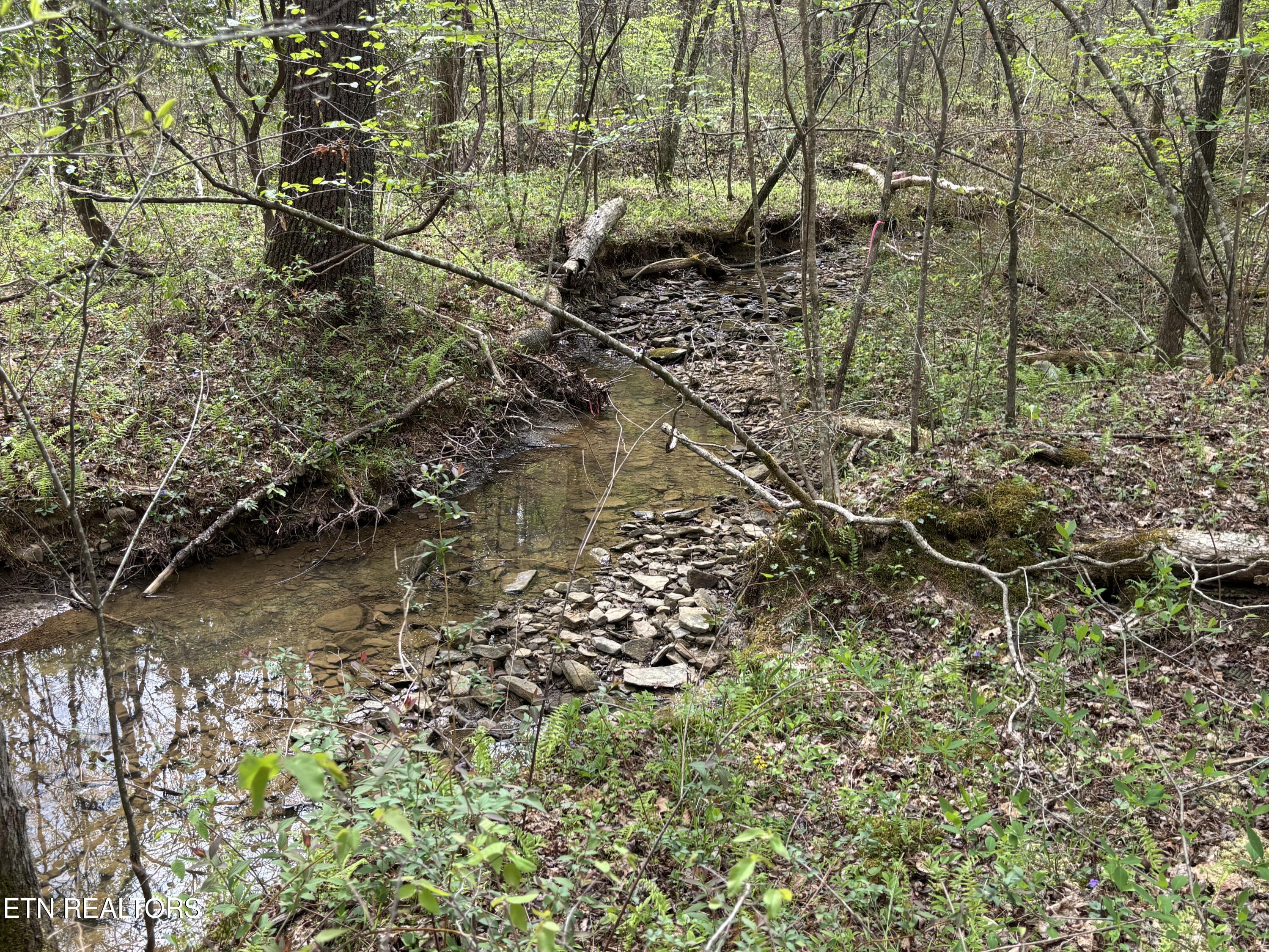 182 Nydeck Road Robbins TN 37852
