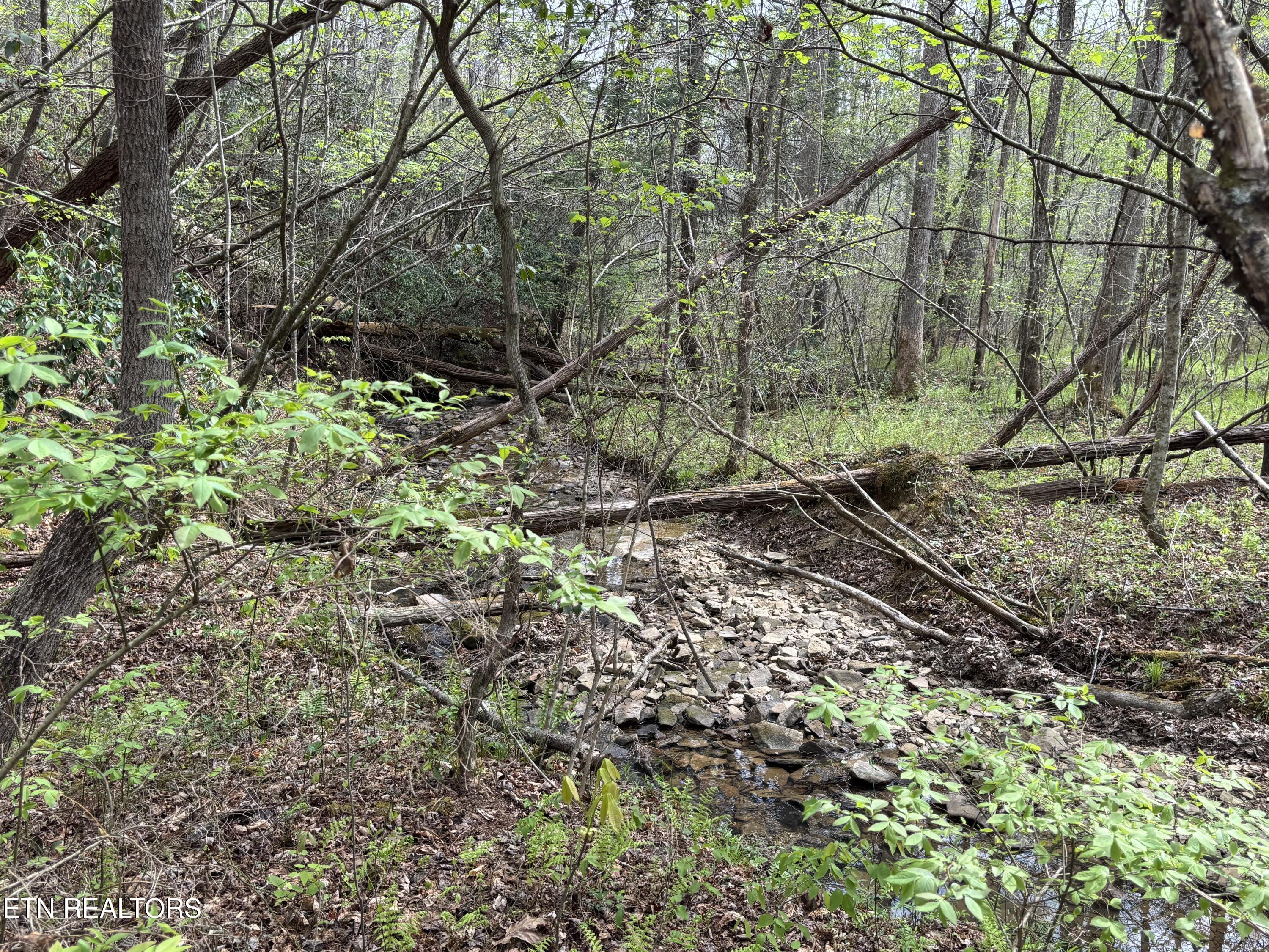 182 Nydeck Road Robbins TN 37852