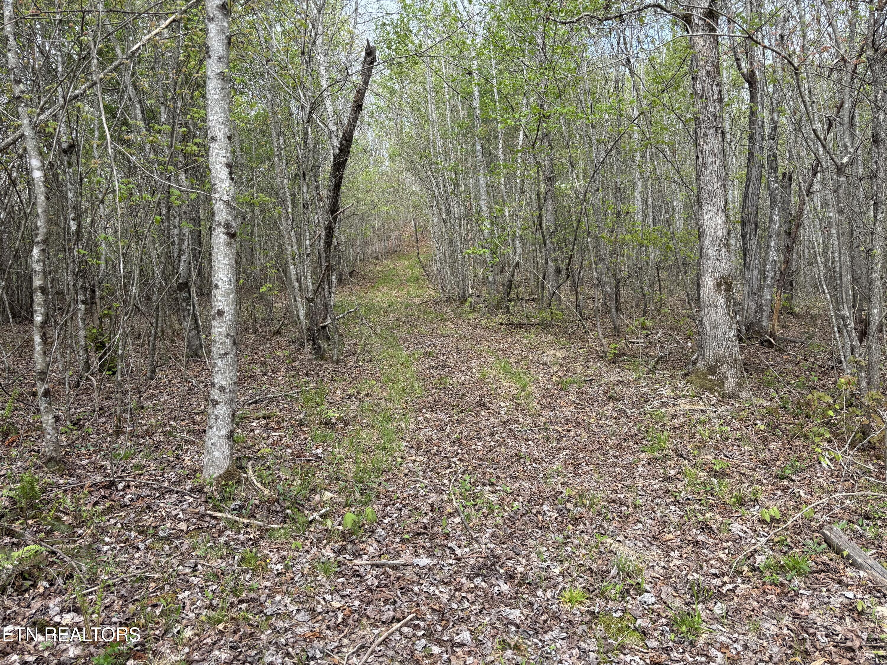182 Nydeck Road Robbins TN 37852
