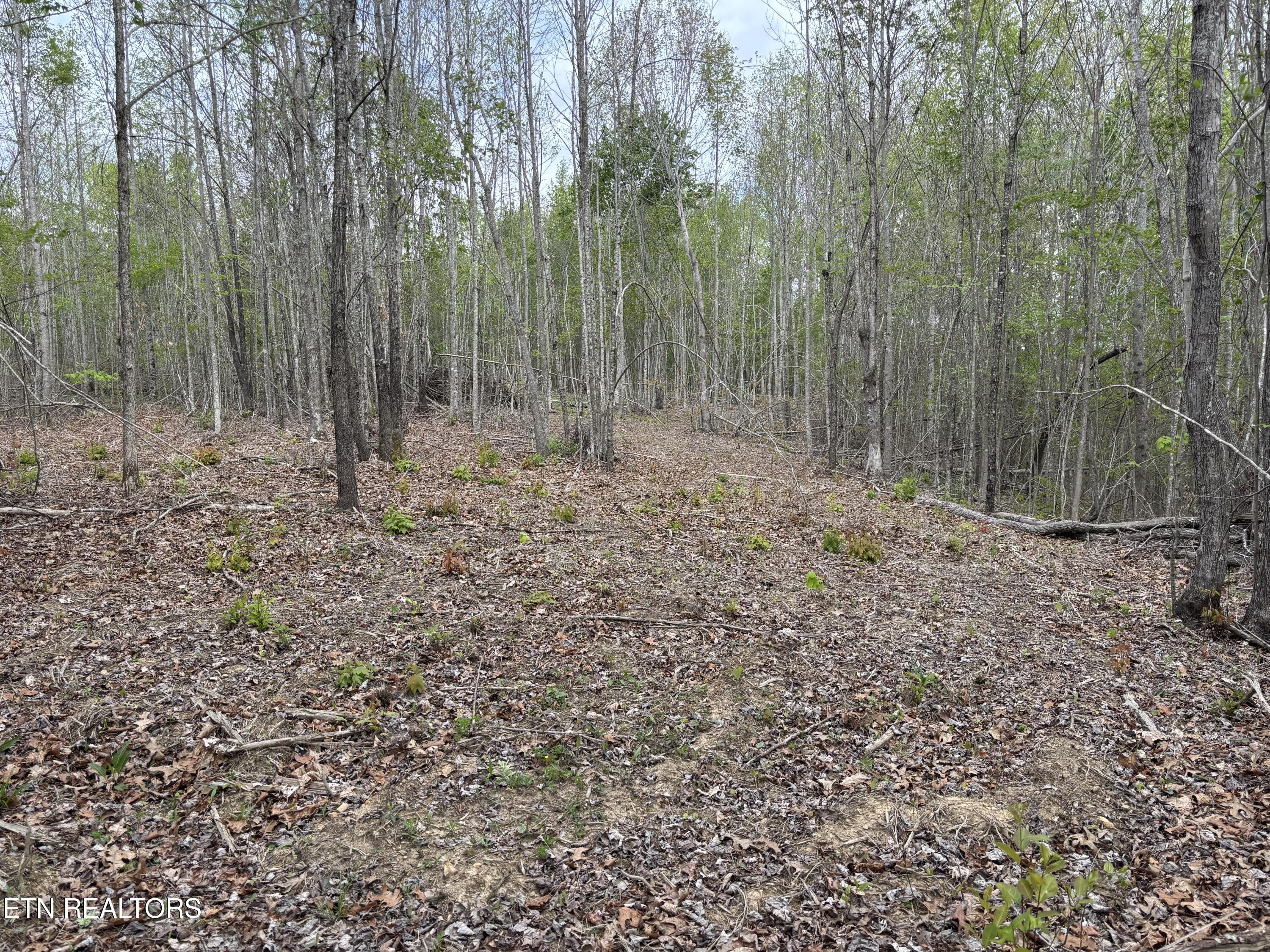 182 Nydeck Road Robbins TN 37852