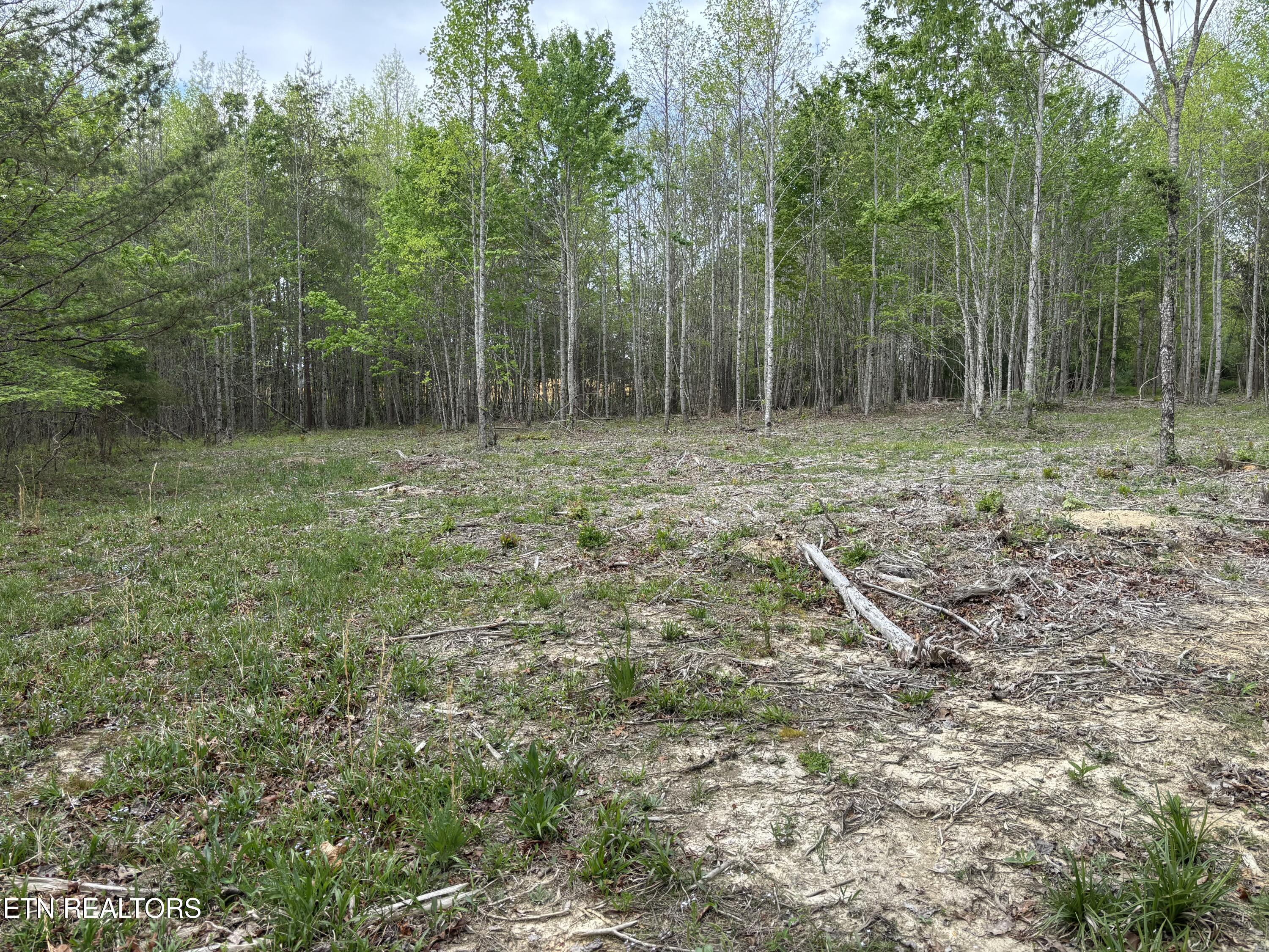182 Nydeck Road Robbins TN 37852