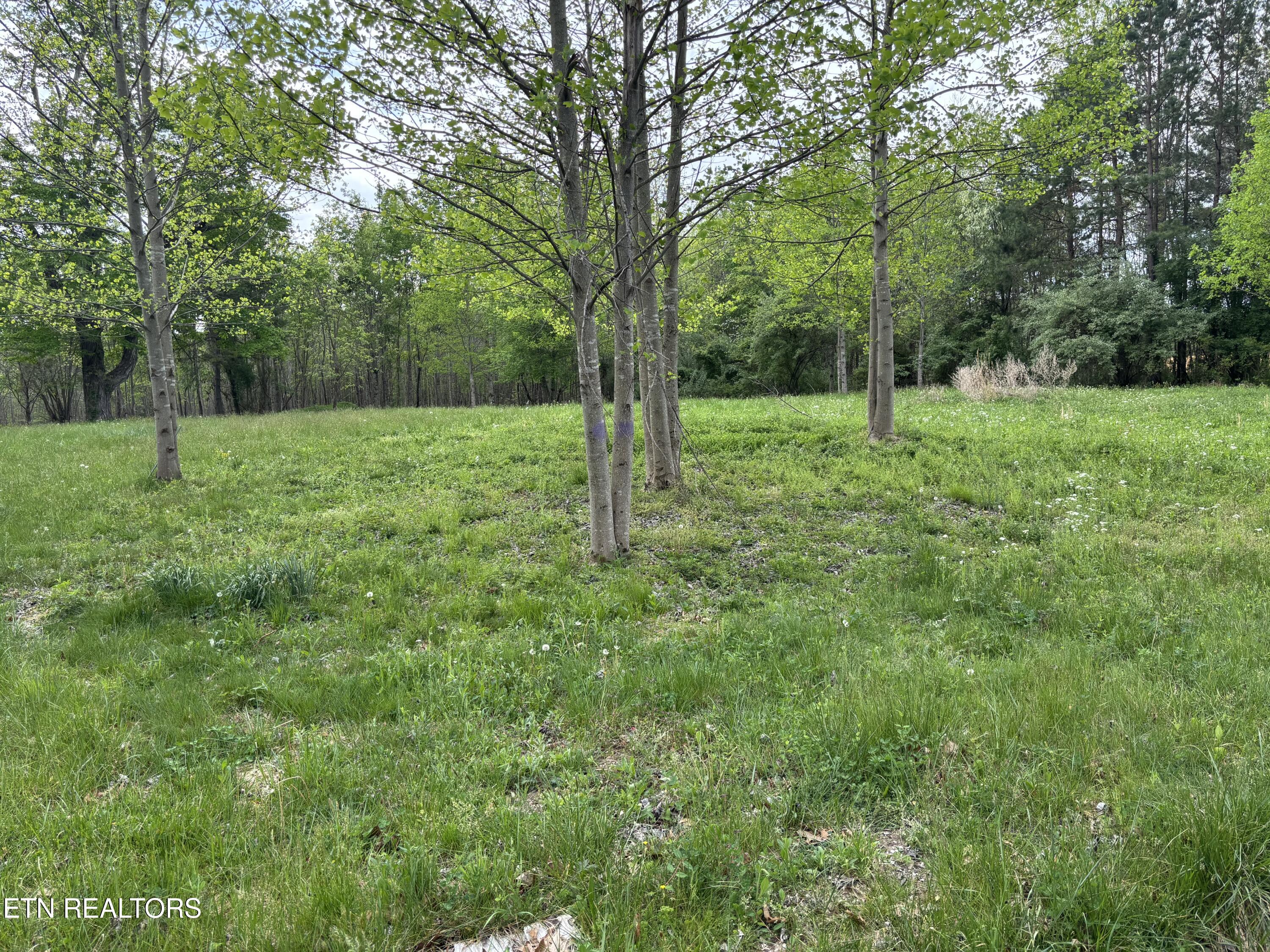 182 Nydeck Road Robbins TN 37852