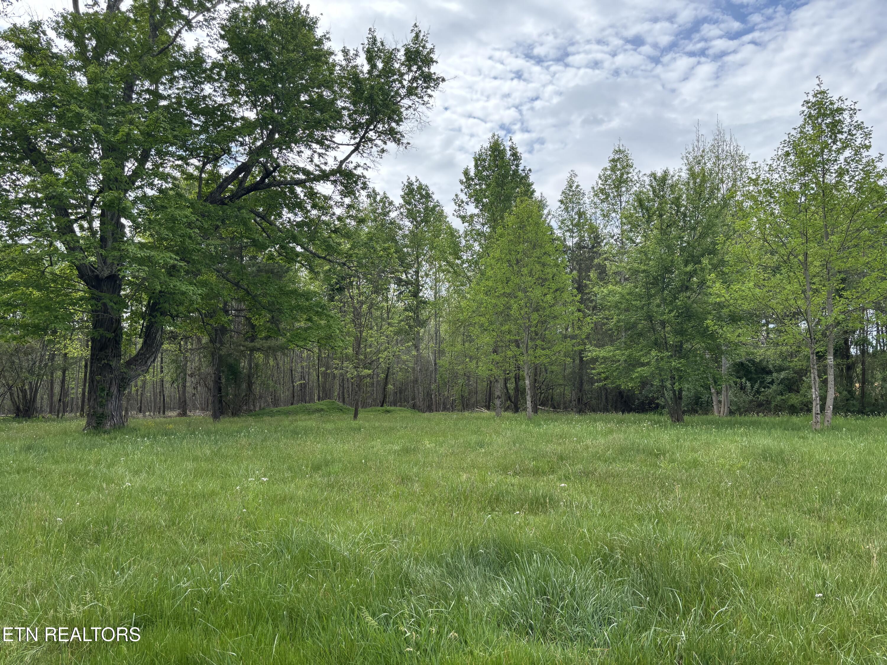 182 Nydeck Road Robbins TN 37852
