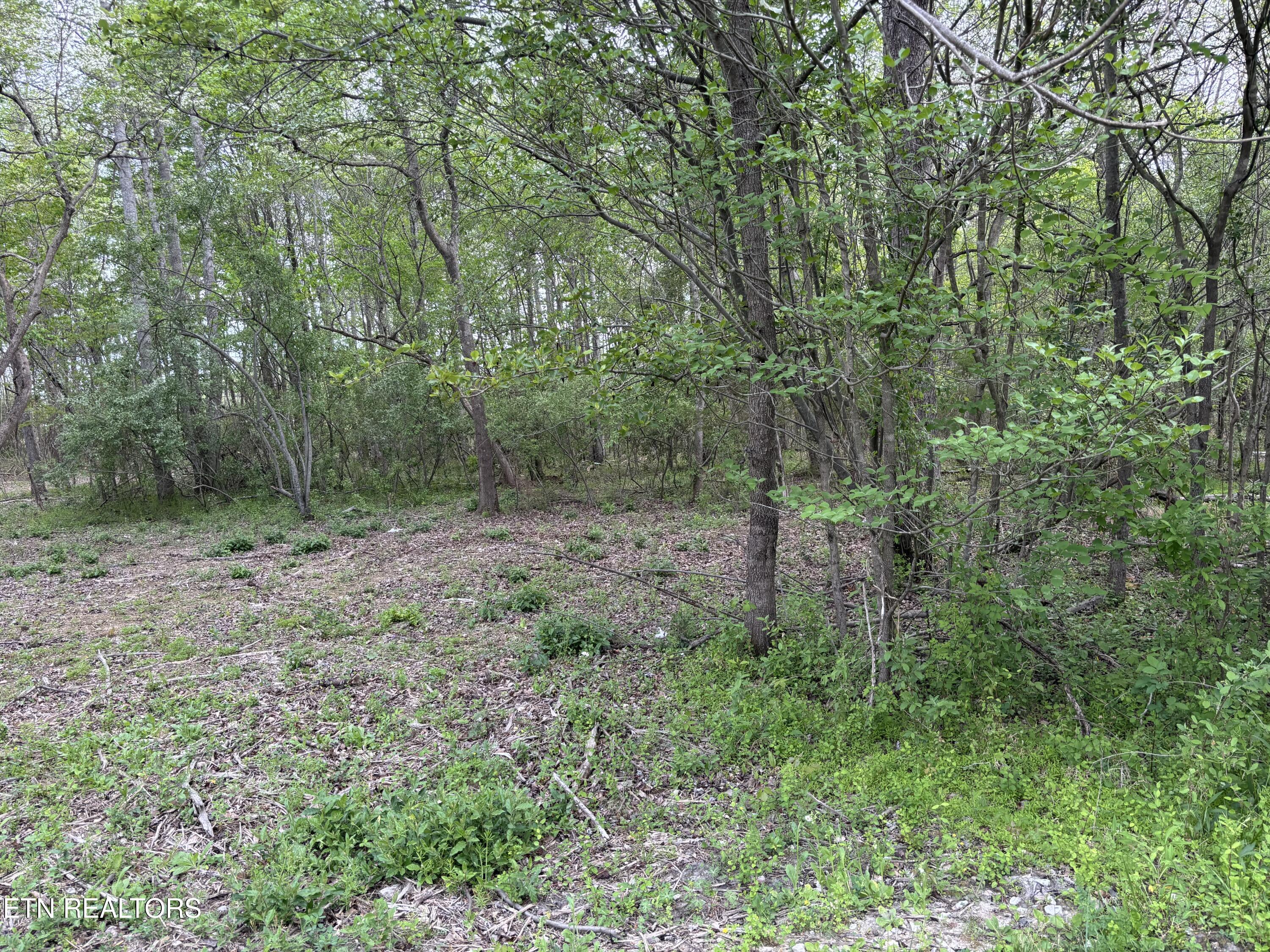 182 Nydeck Road Robbins TN 37852