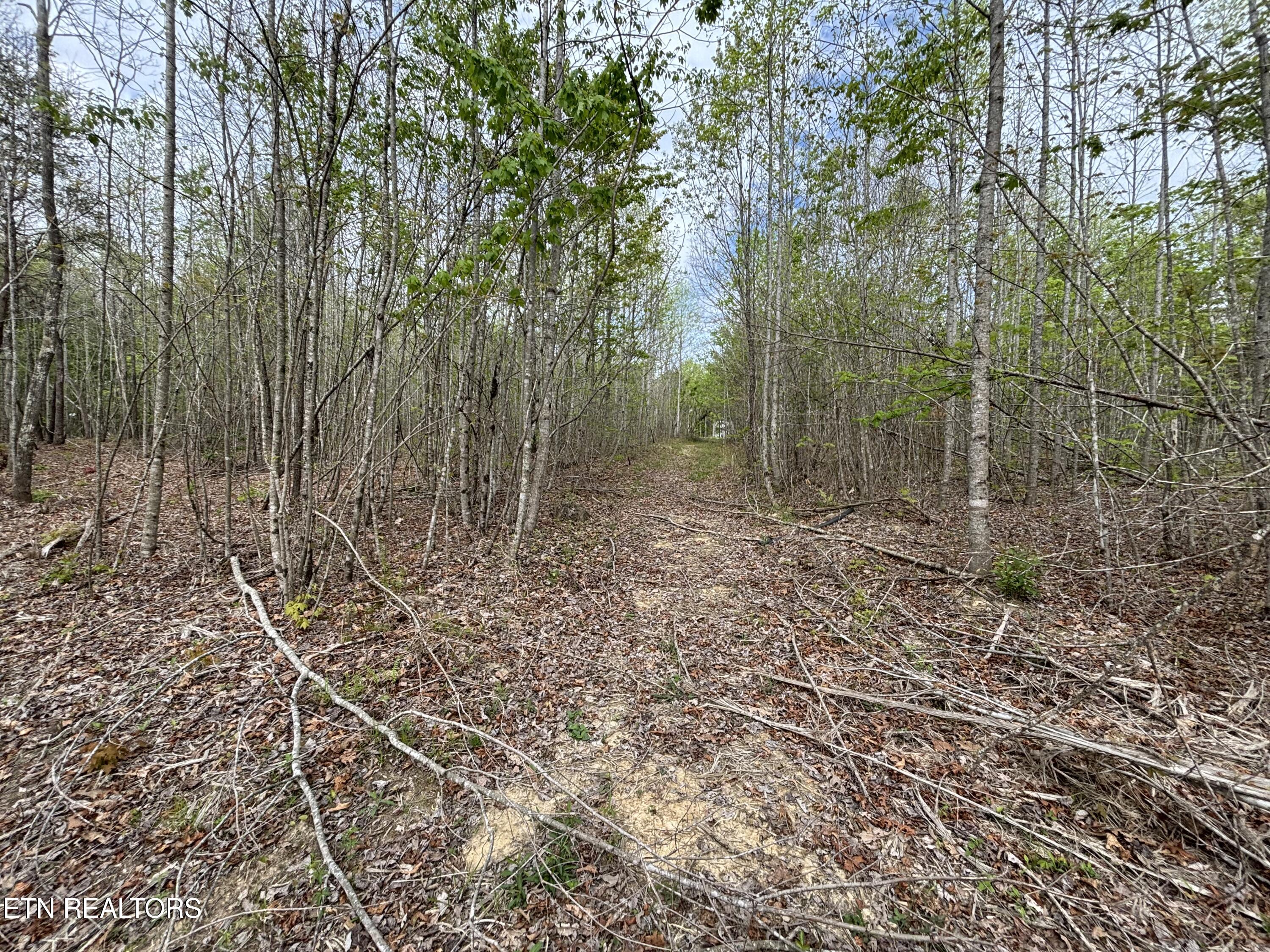 182 Nydeck Road Robbins TN 37852