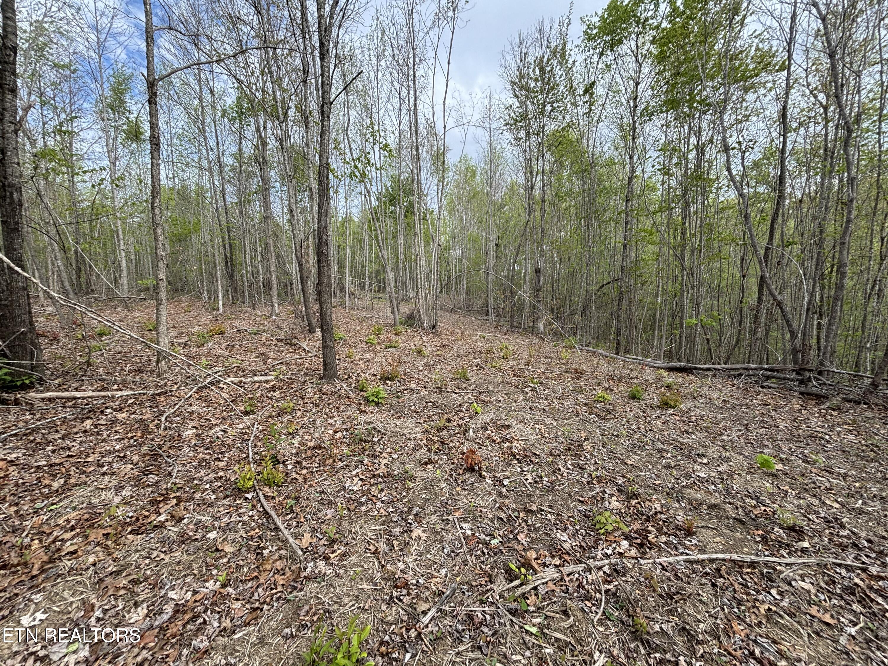 182 Nydeck Road Robbins TN 37852
