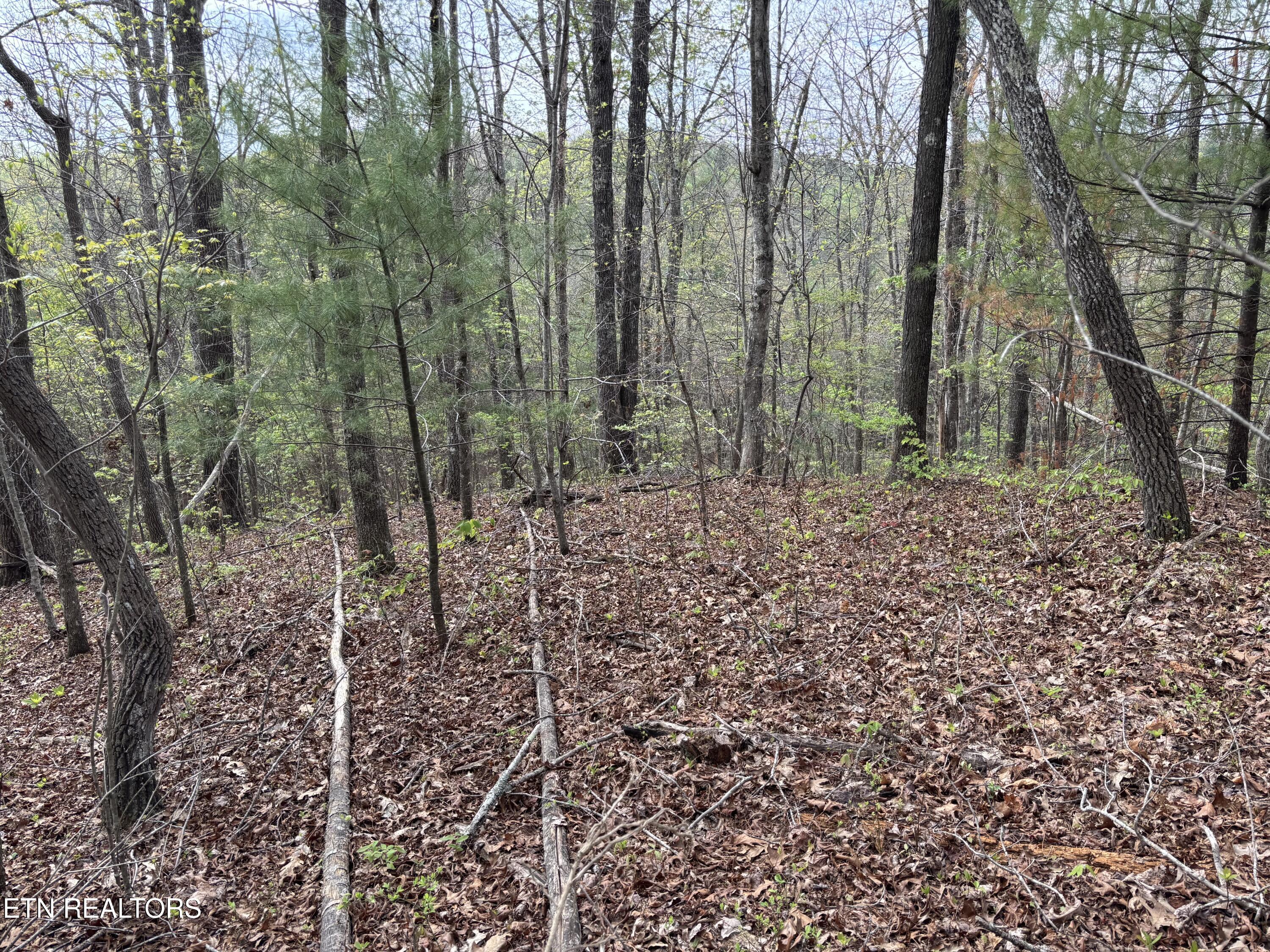 182 Nydeck Road Robbins TN 37852