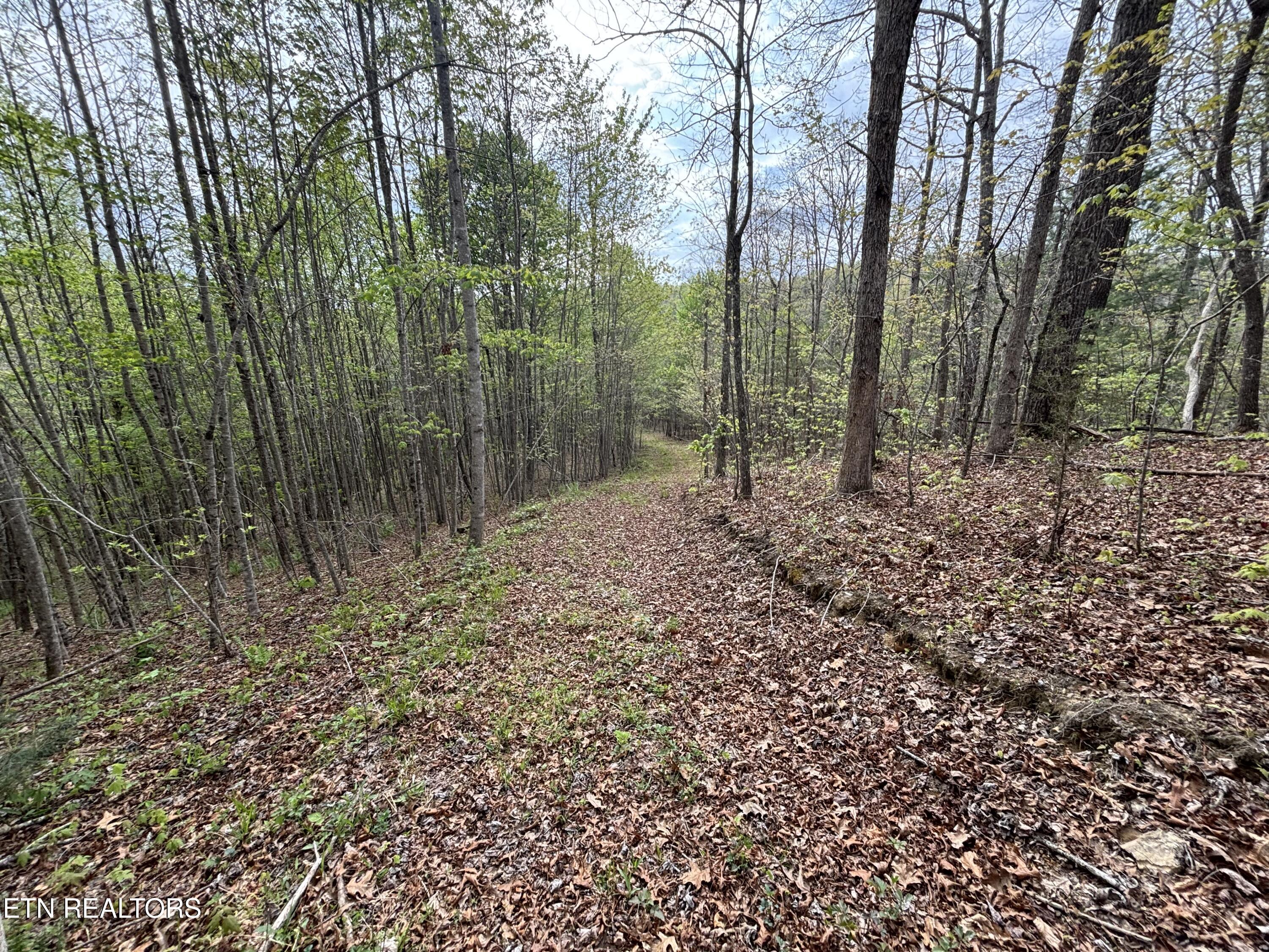 182 Nydeck Road Robbins TN 37852