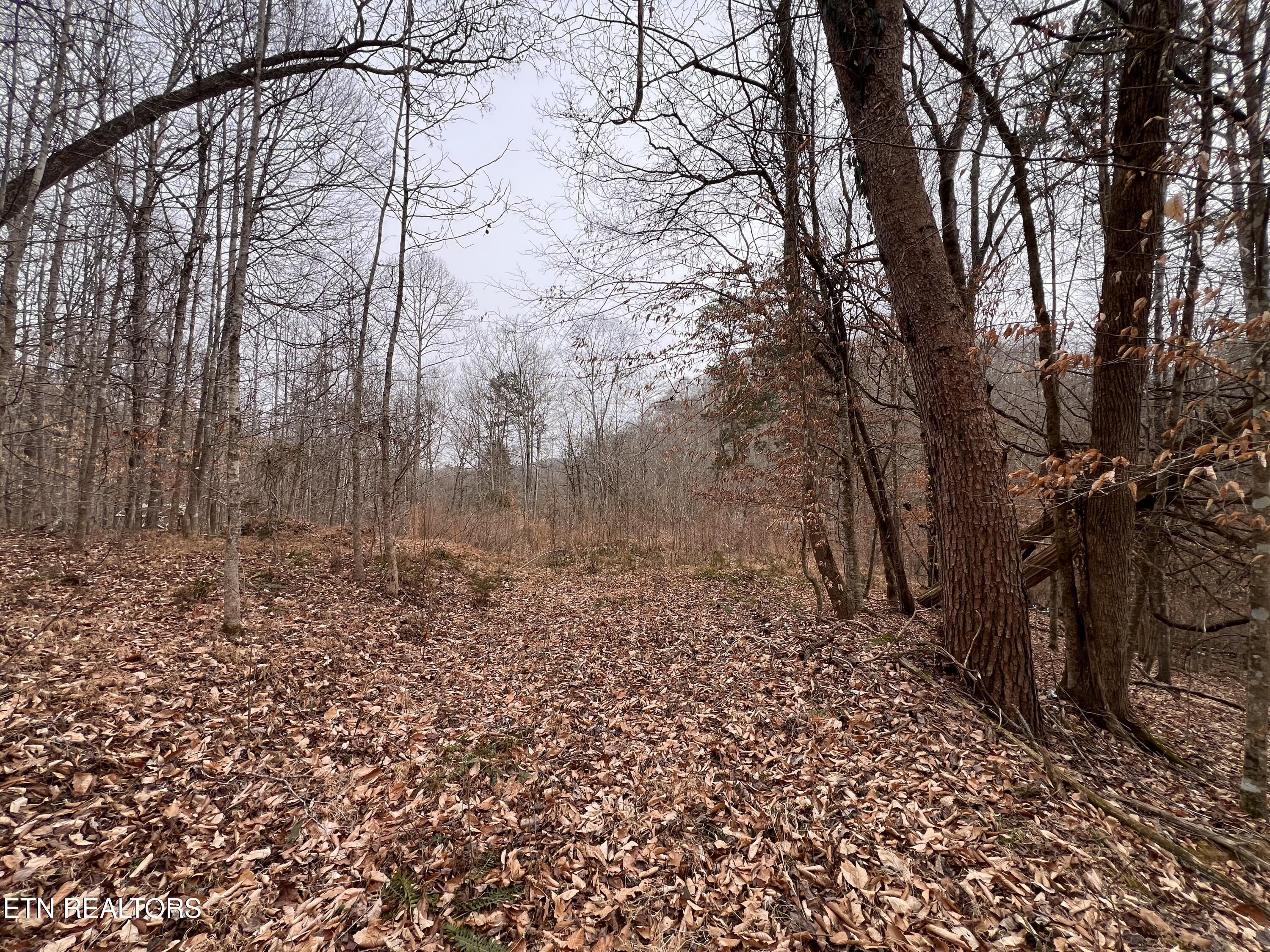 119 Laurel Wood Road Tazewell TN 37879