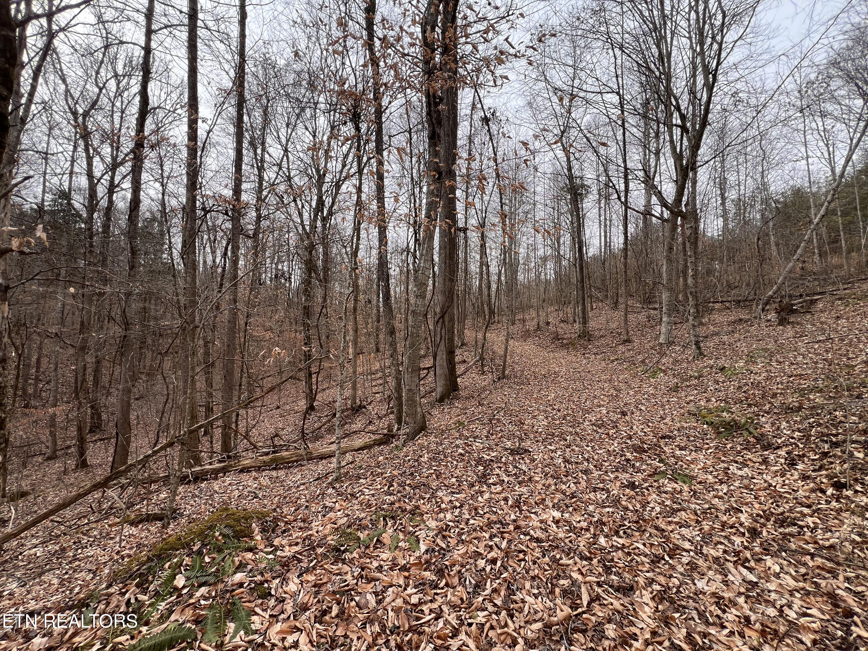 119 Laurel Wood Road Tazewell TN 37879