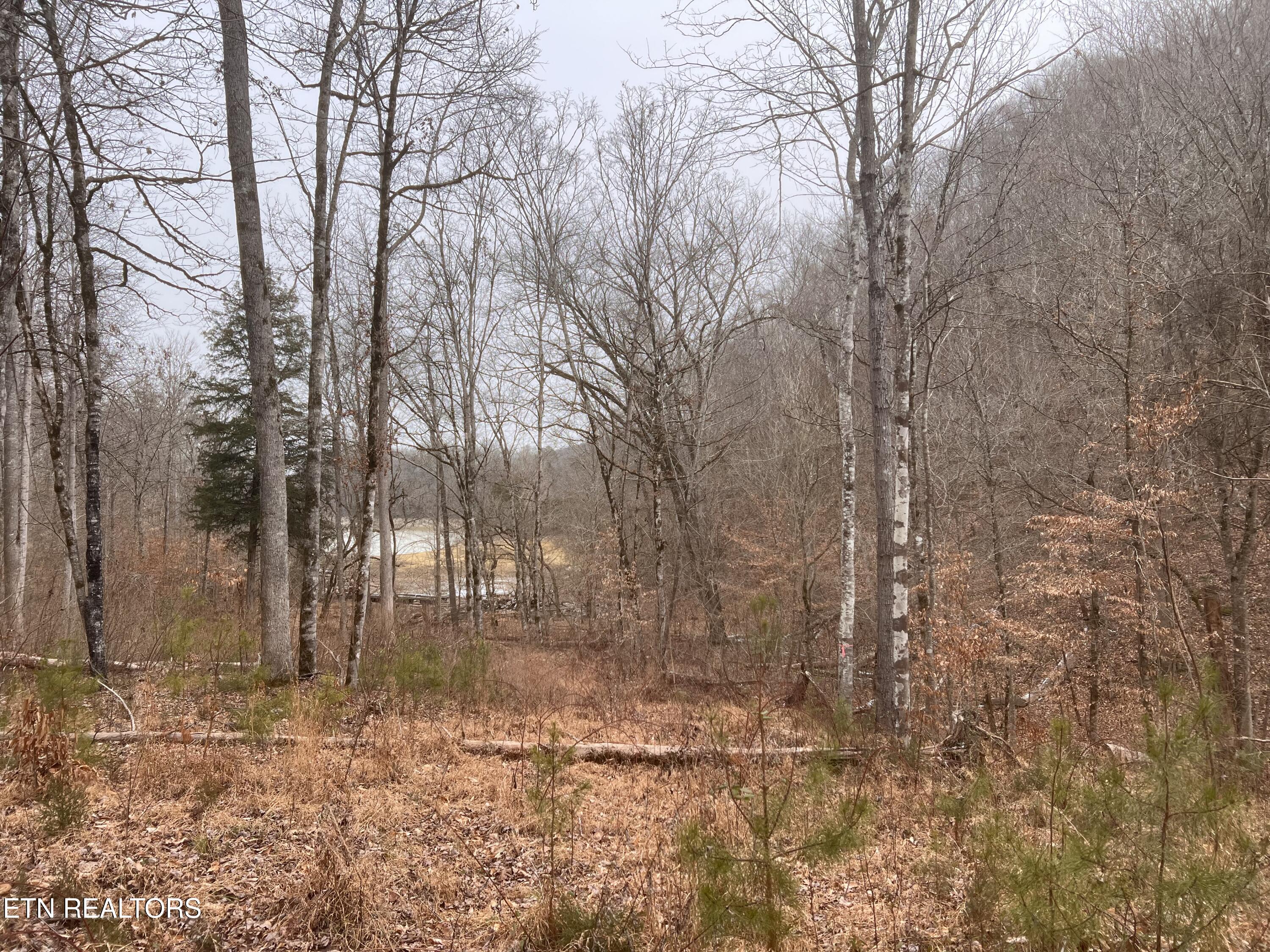 119 Laurel Wood Road Tazewell TN 37879