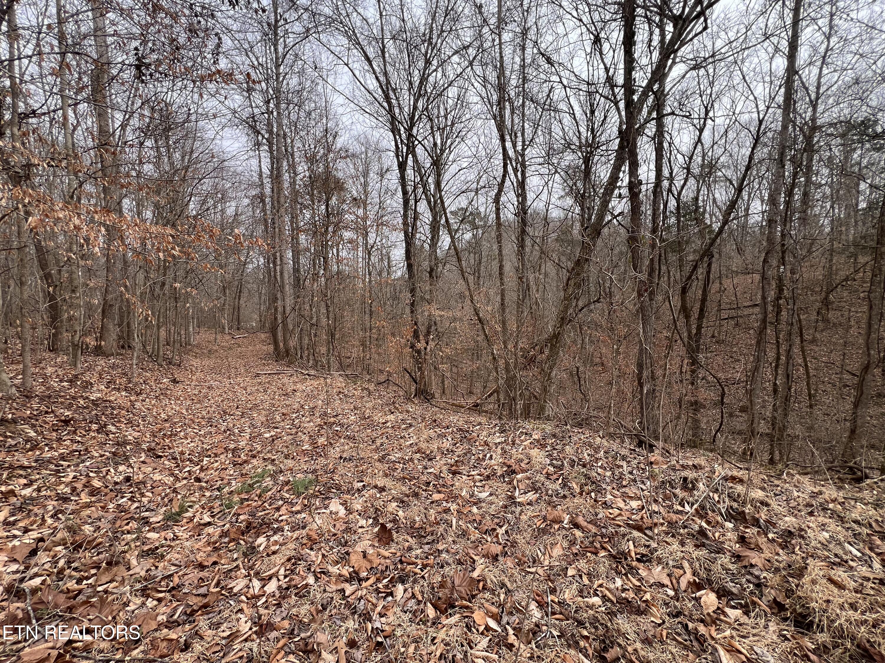 119 Laurel Wood Road Tazewell TN 37879