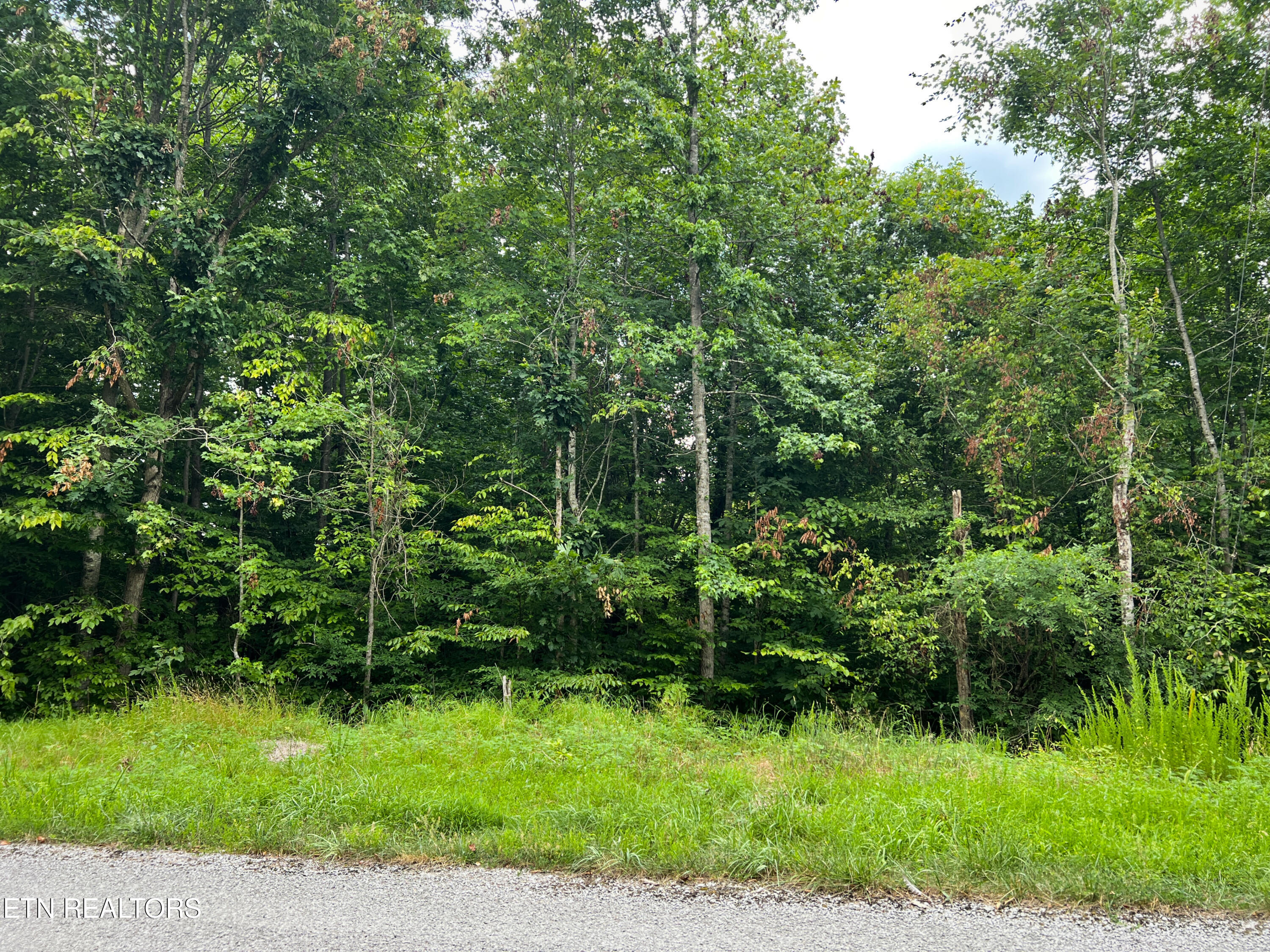 119 Laurel Wood Road Tazewell TN 37879