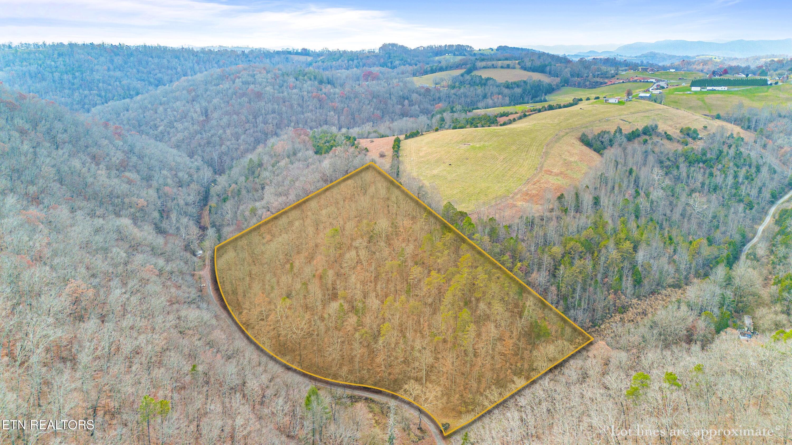 Ramsey Hollow Road Harrogate TN 37752
