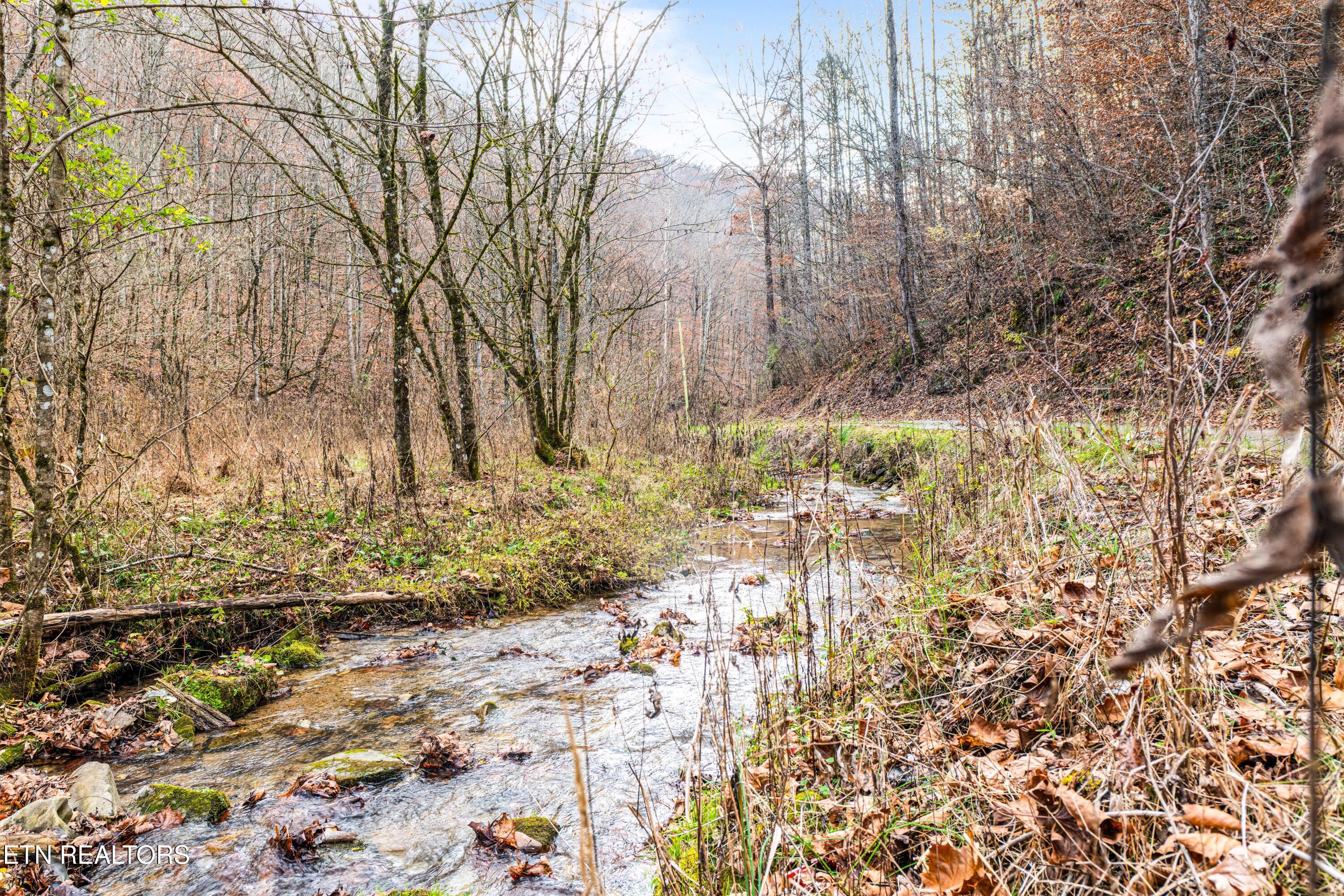 Ramsey Hollow Road Harrogate TN 37752