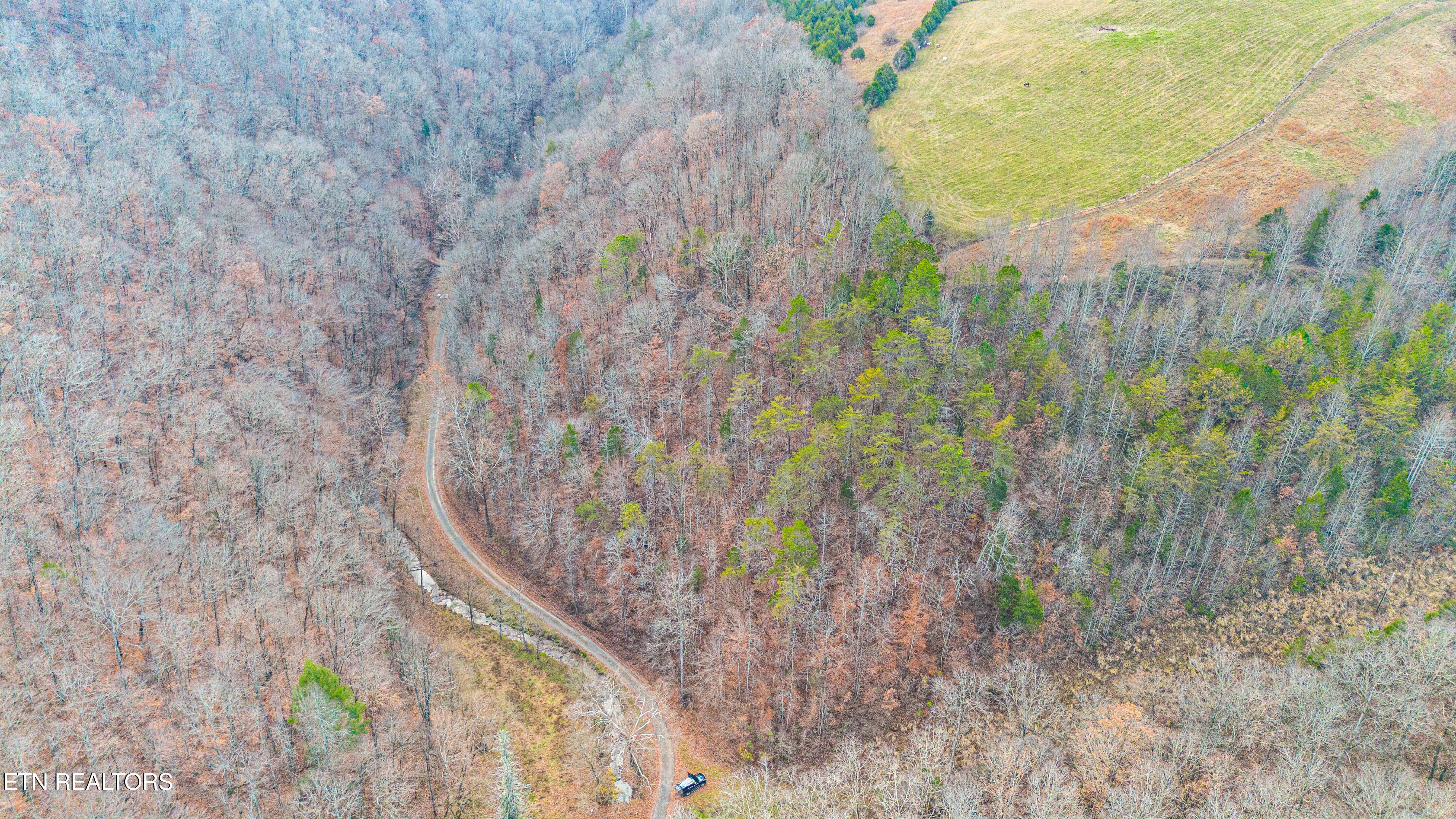 Ramsey Hollow Road Harrogate TN 37752