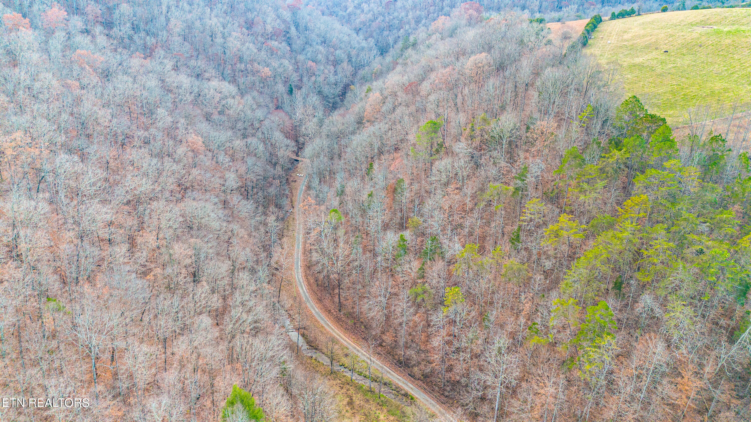 Ramsey Hollow Road Harrogate TN 37752