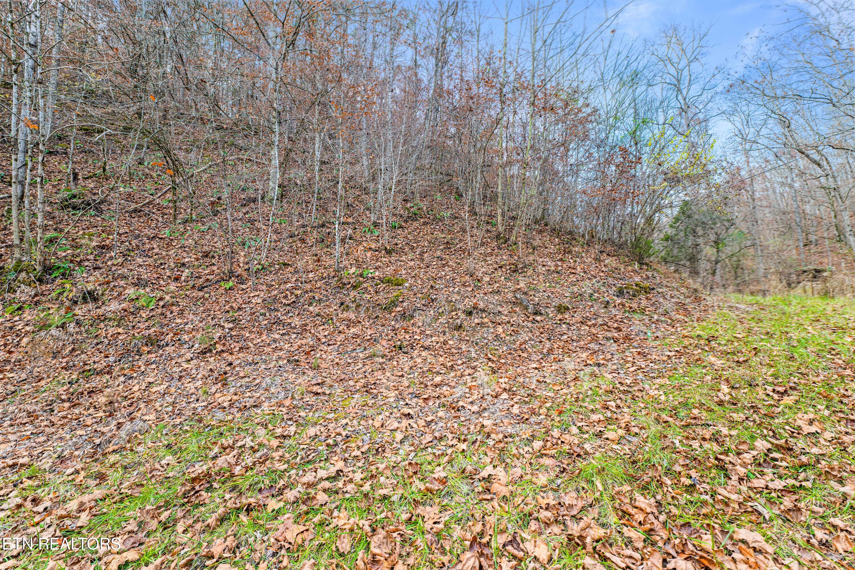 Ramsey Hollow Road Harrogate TN 37752