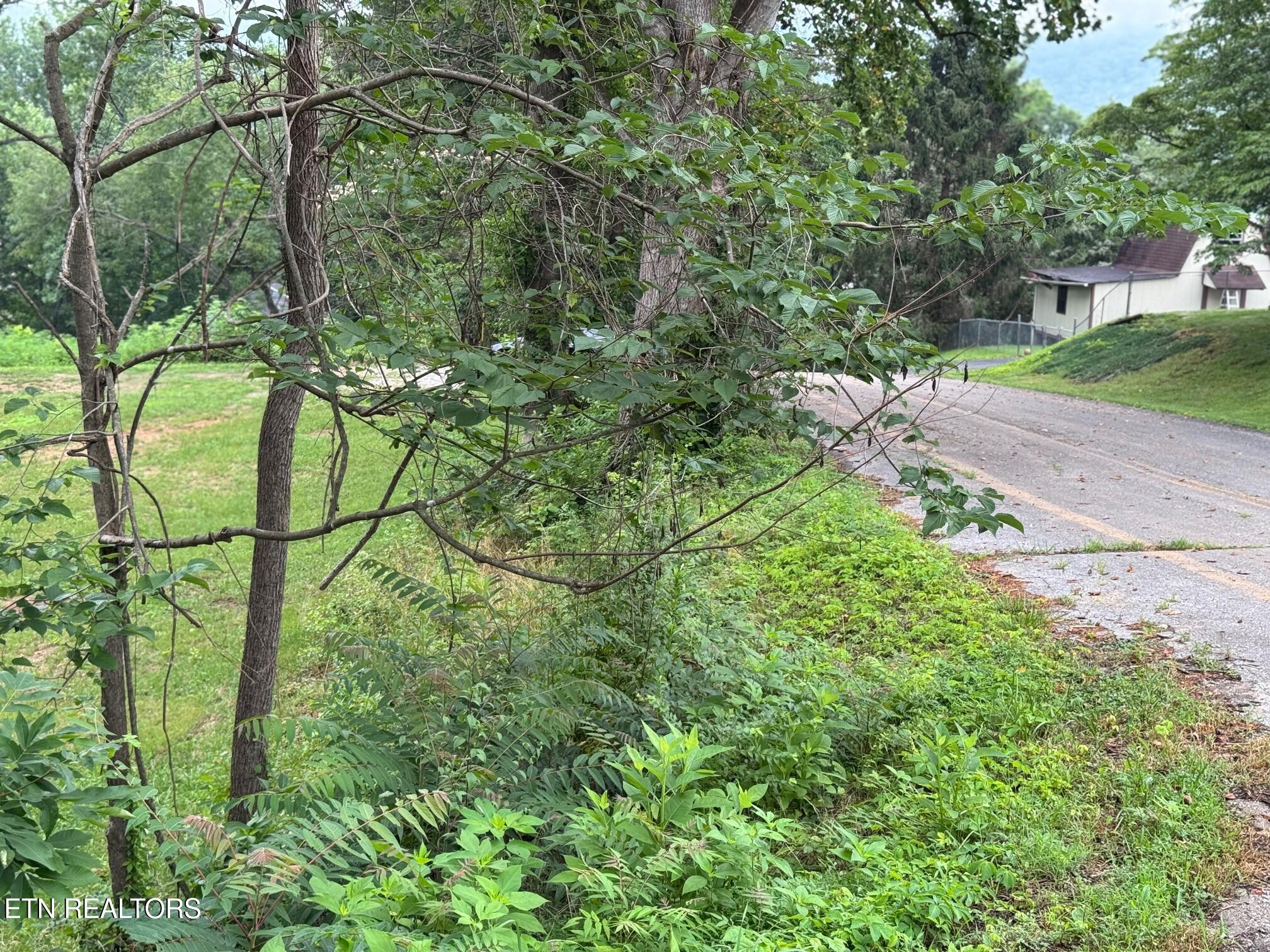 Dogwood Lane Jacksboro TN 37757