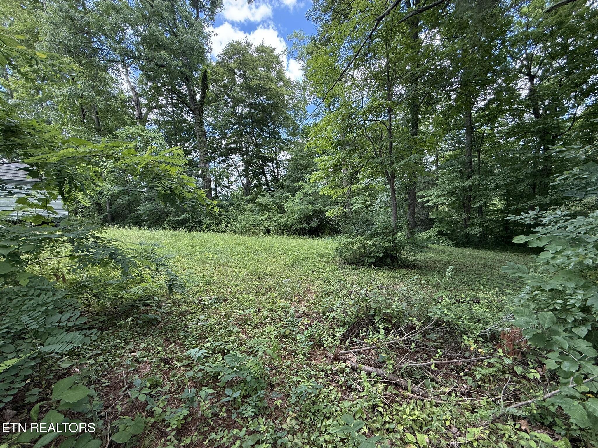 Shoreline Circle Lafollette TN 37766
