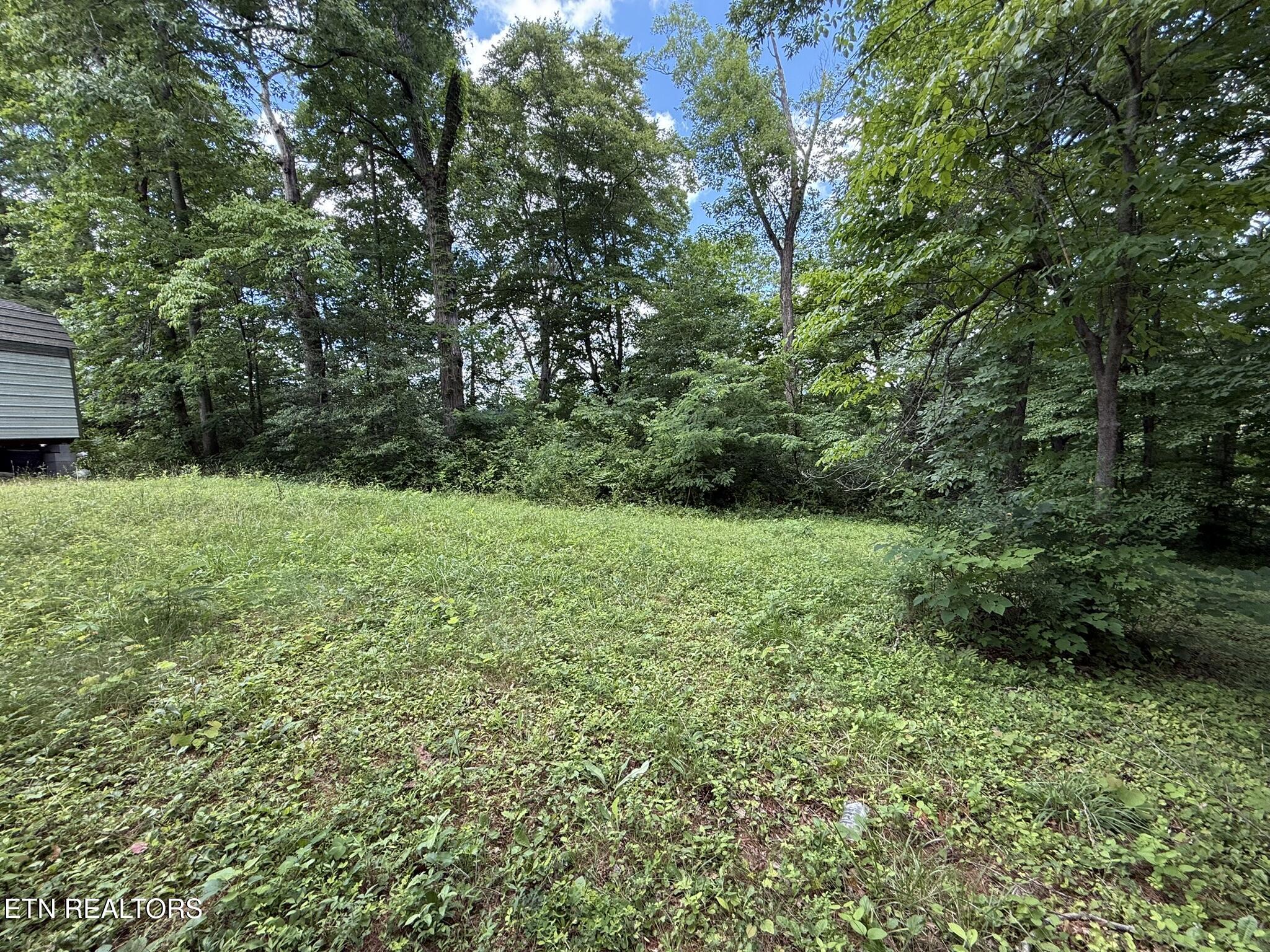 Shoreline Circle Lafollette TN 37766