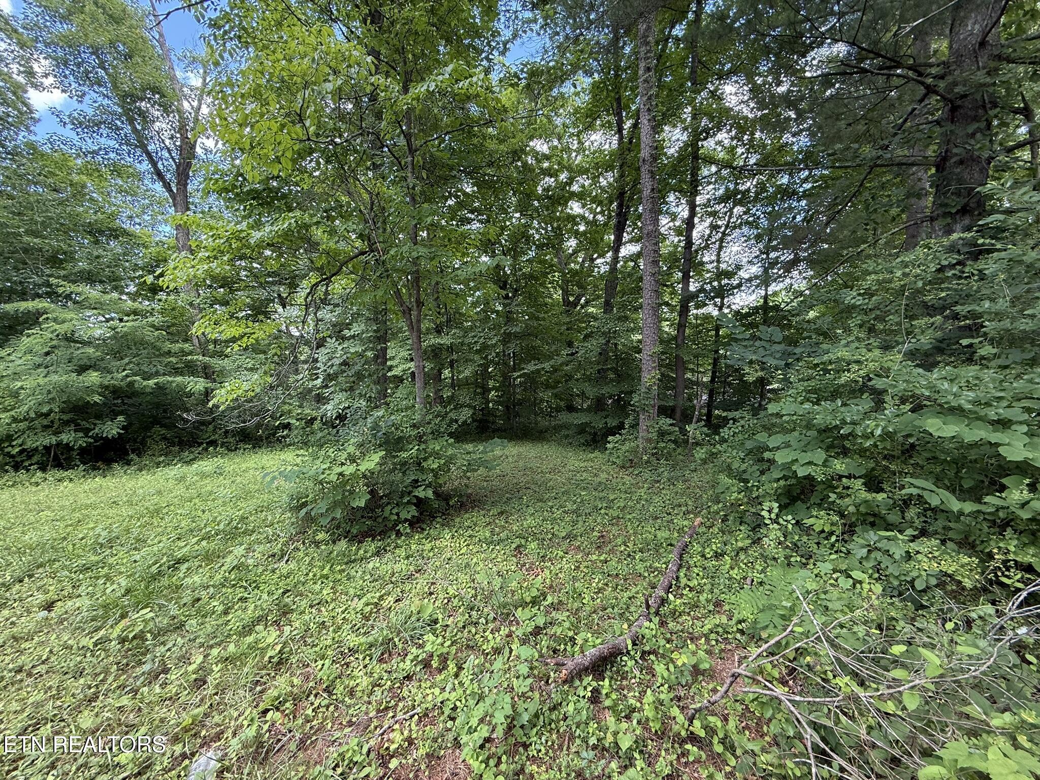 Shoreline Circle Lafollette TN 37766