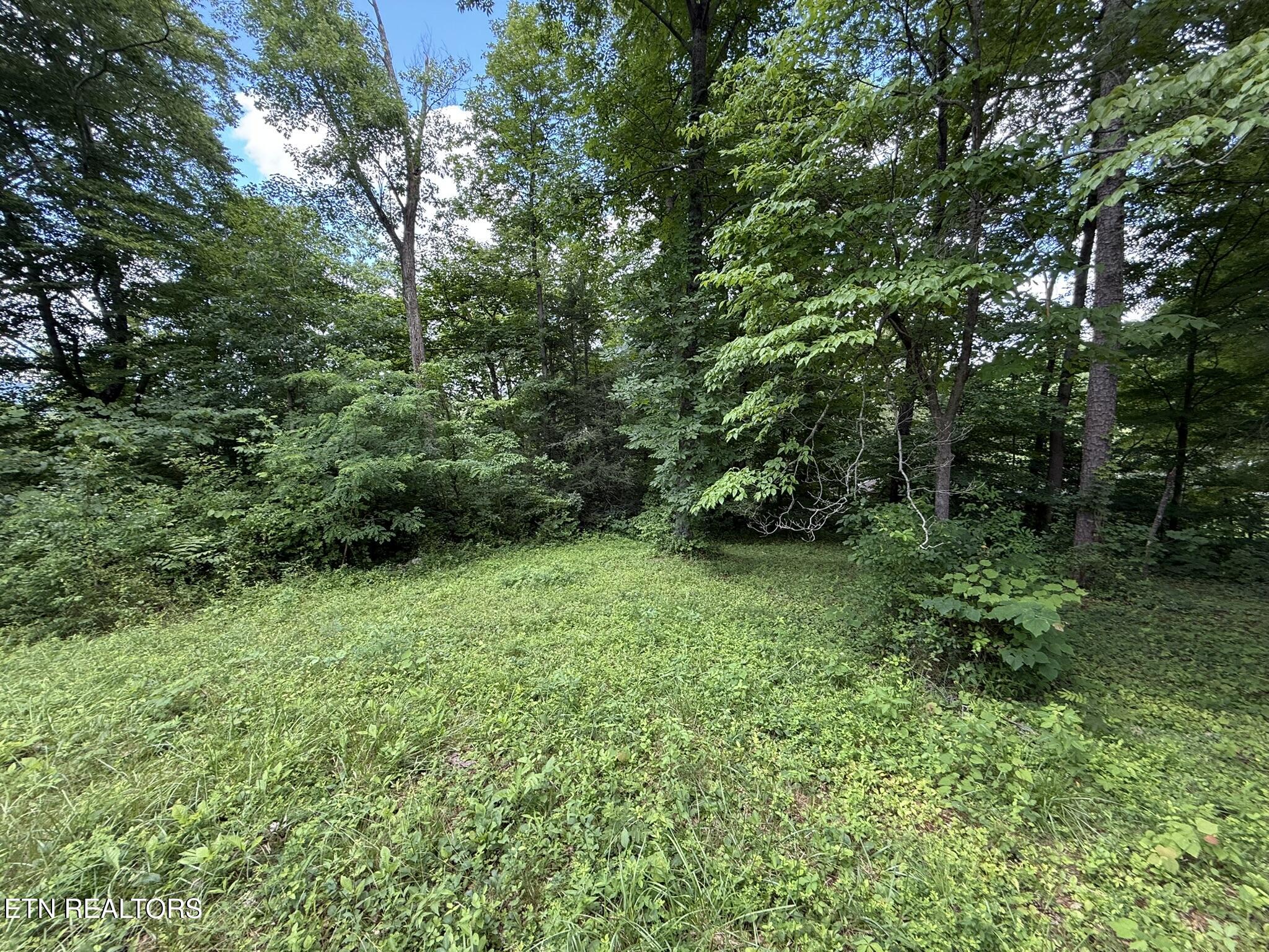 Shoreline Circle Lafollette TN 37766