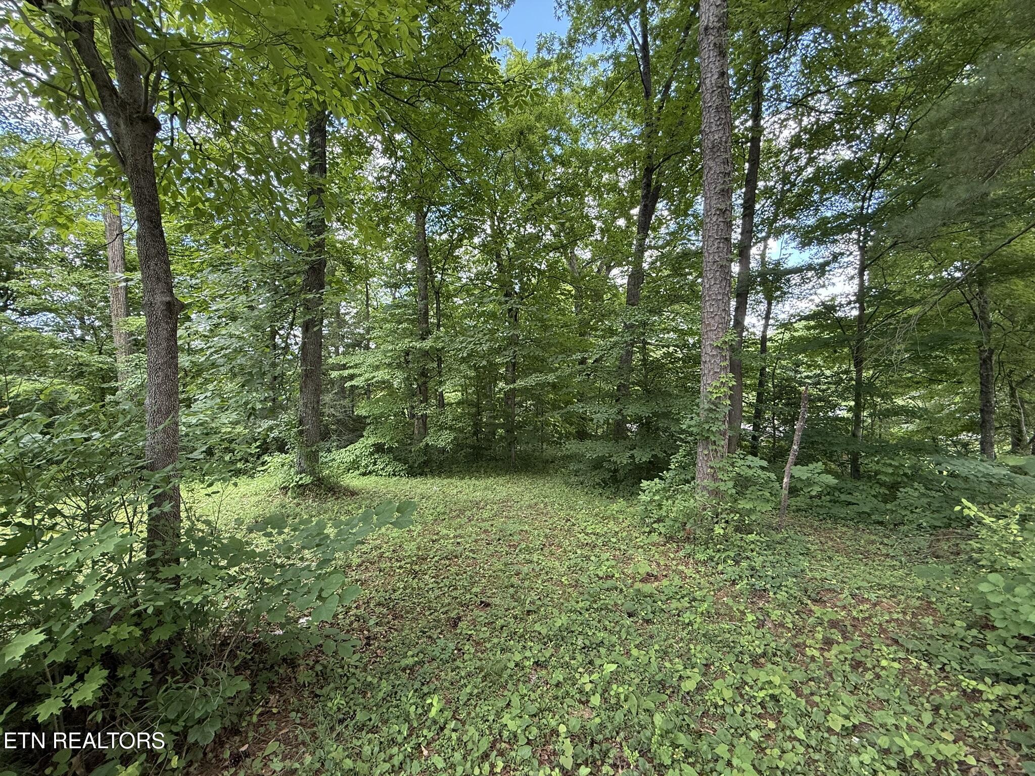 Shoreline Circle Lafollette TN 37766