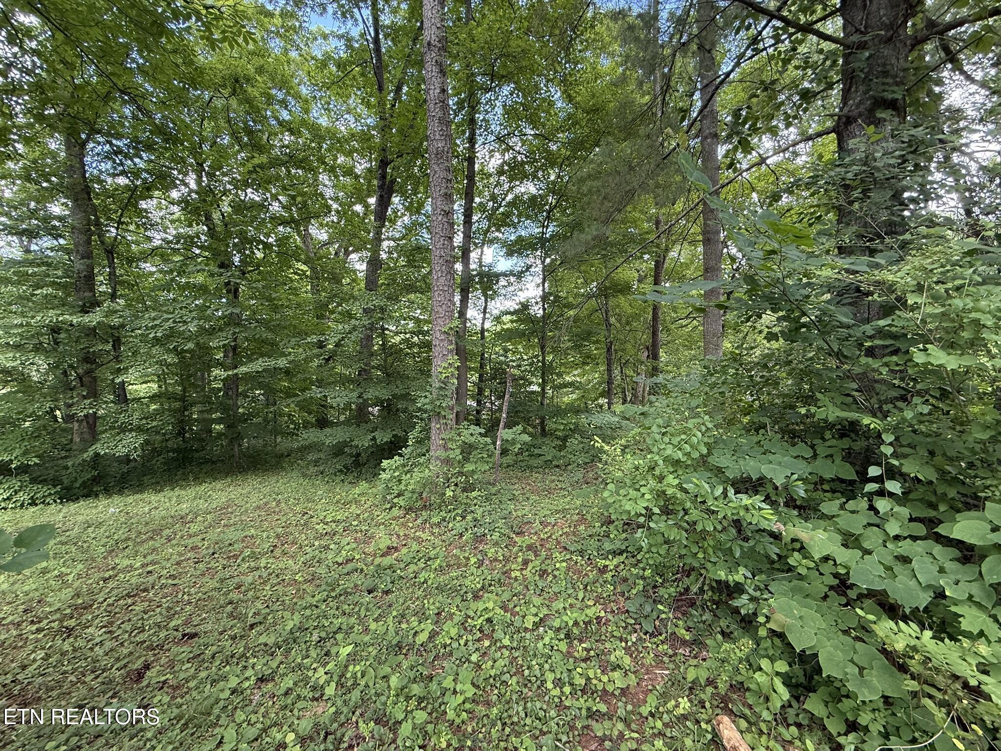 Shoreline Circle Lafollette TN 37766