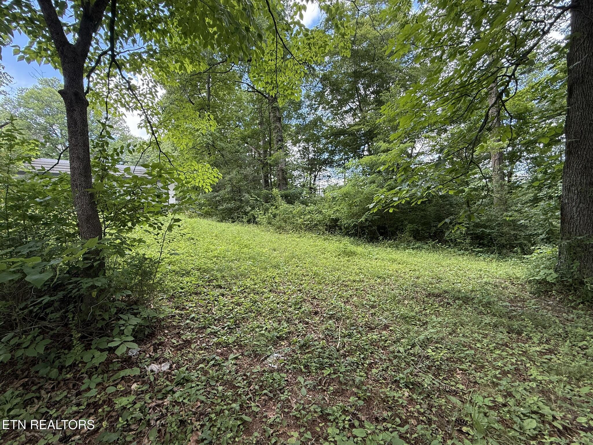 Shoreline Circle Lafollette TN 37766
