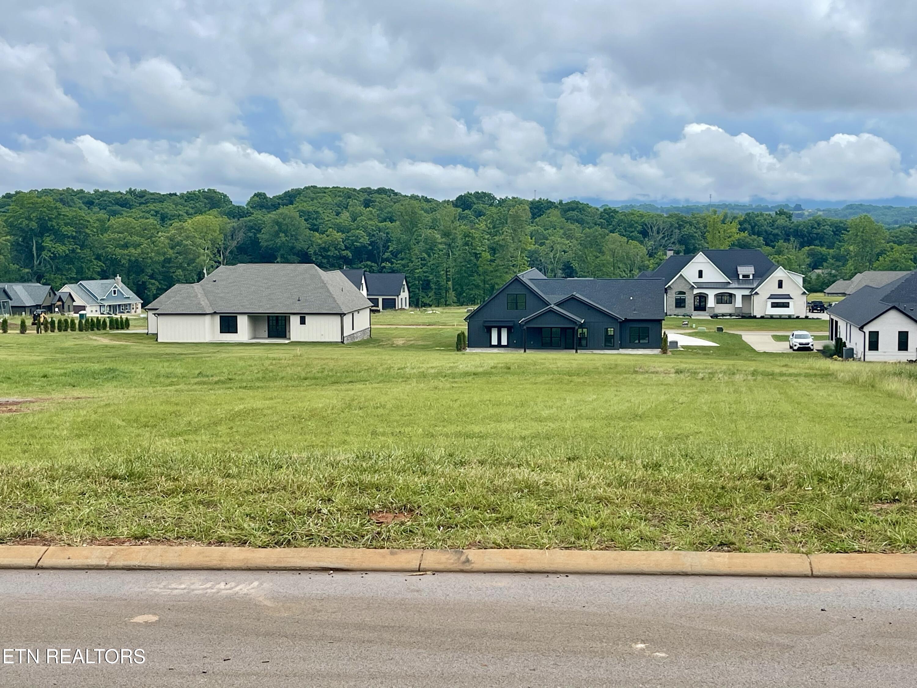 1234 Kellys View Drive Greenback TN 37742