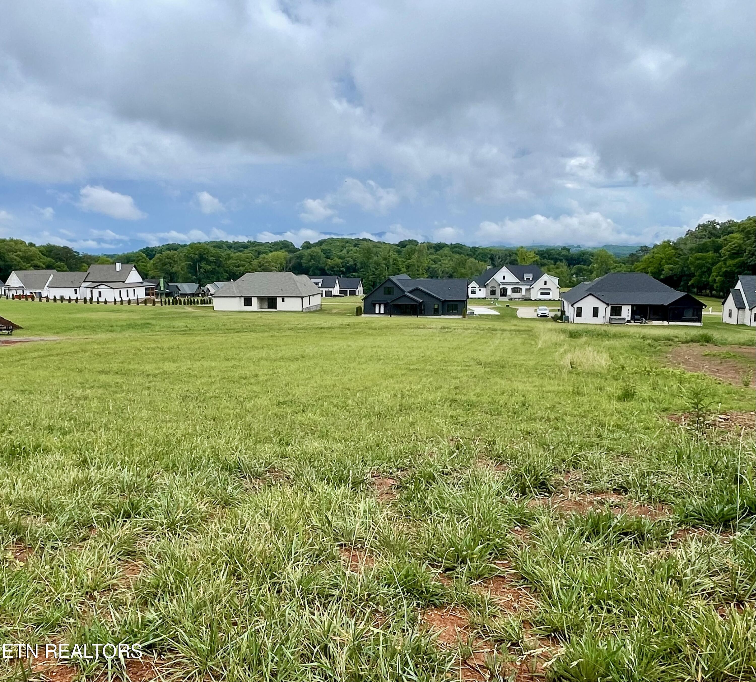 1234 Kellys View Drive Greenback TN 37742