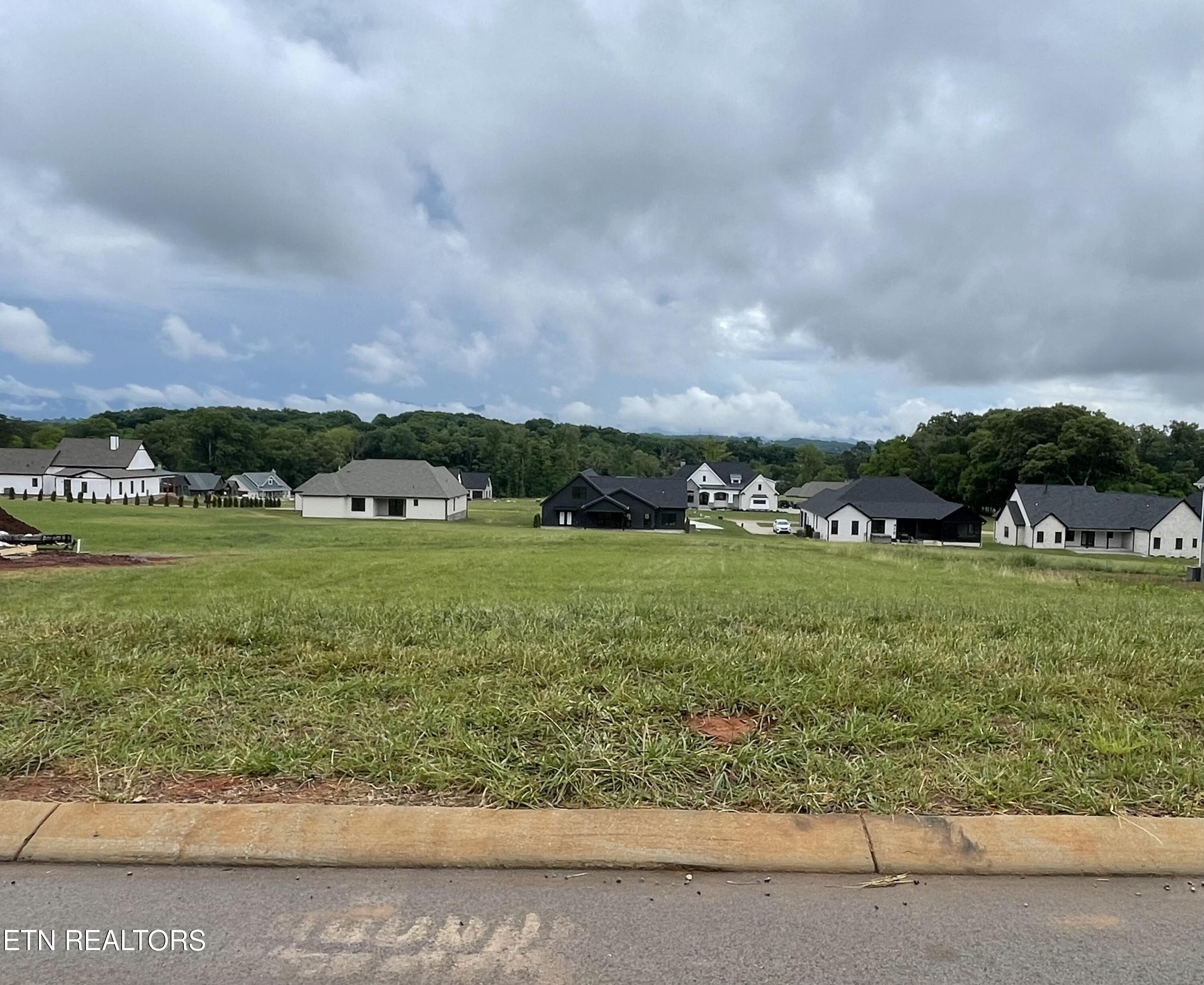 1234 Kellys View Drive Greenback TN 37742