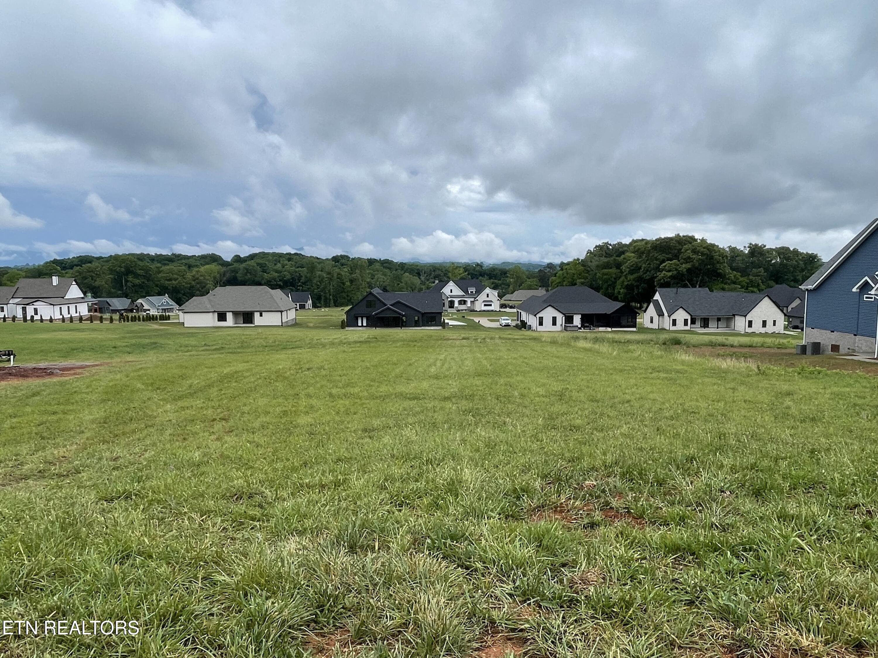 1234 Kellys View Drive Greenback TN 37742