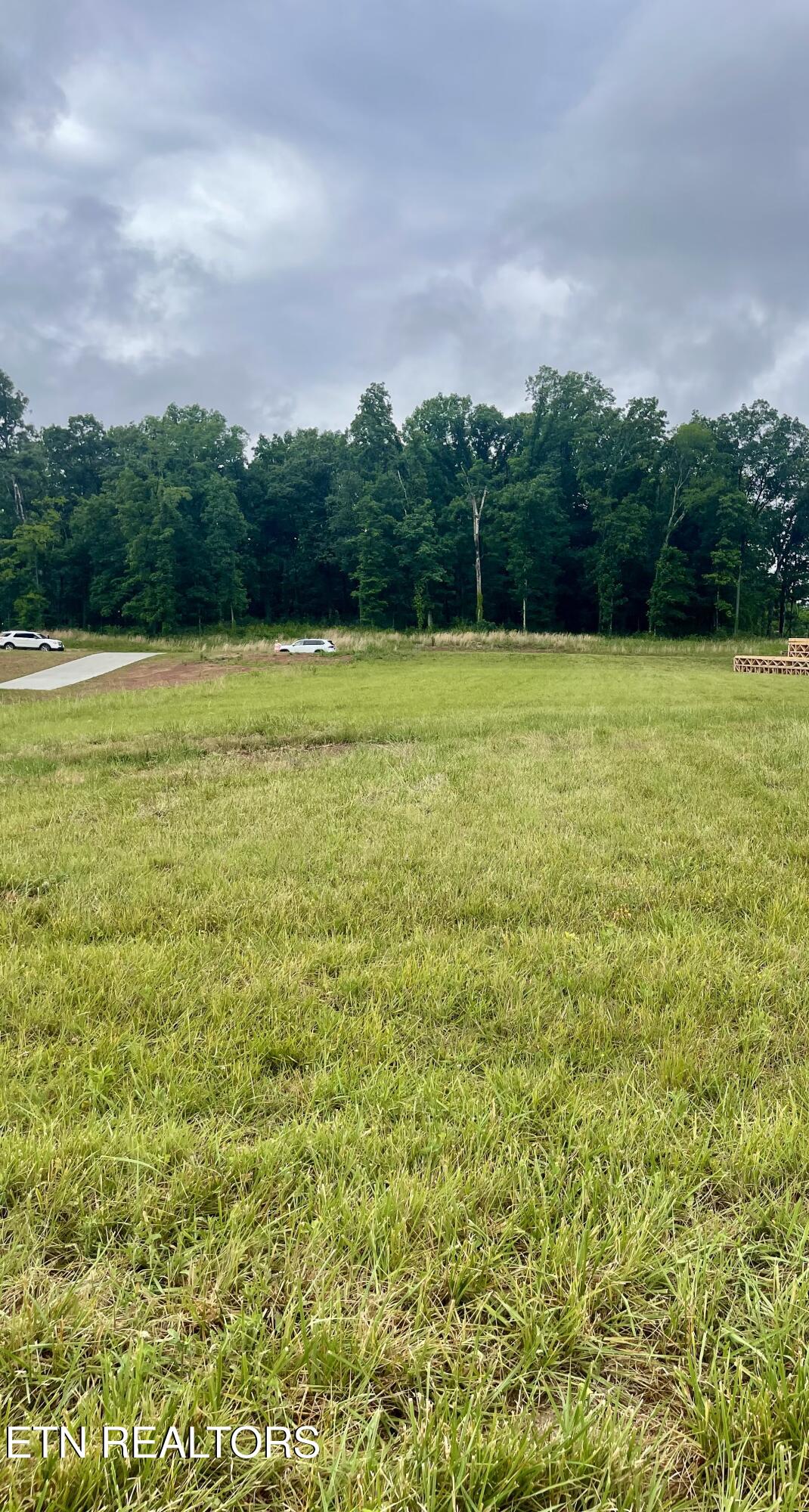 1234 Kellys View Drive Greenback TN 37742
