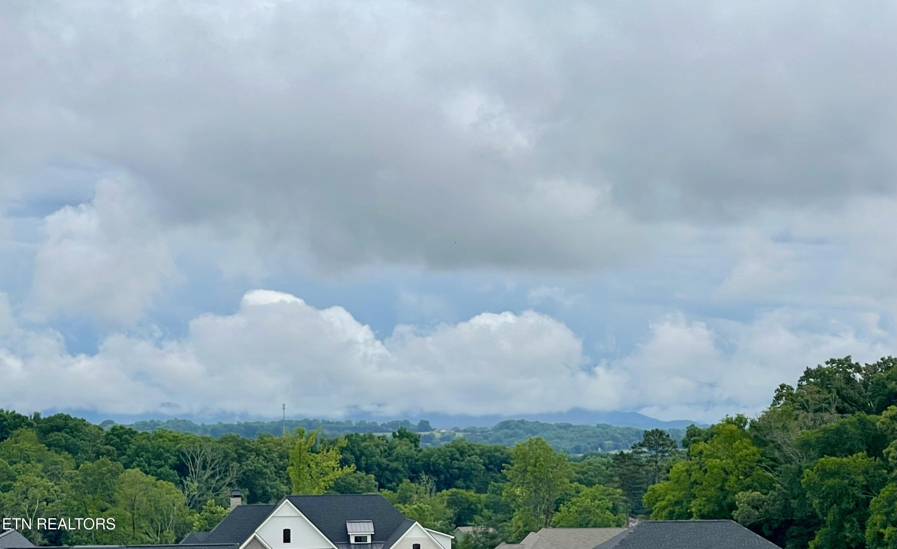 1234 Kellys View Drive Greenback TN 37742