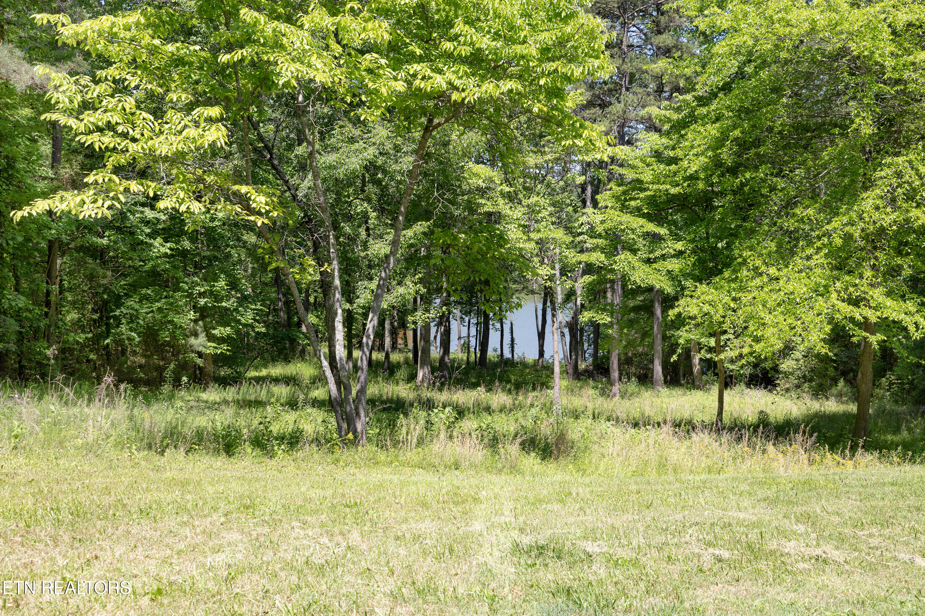 772 Wood Duck Drive Vonore TN 37885