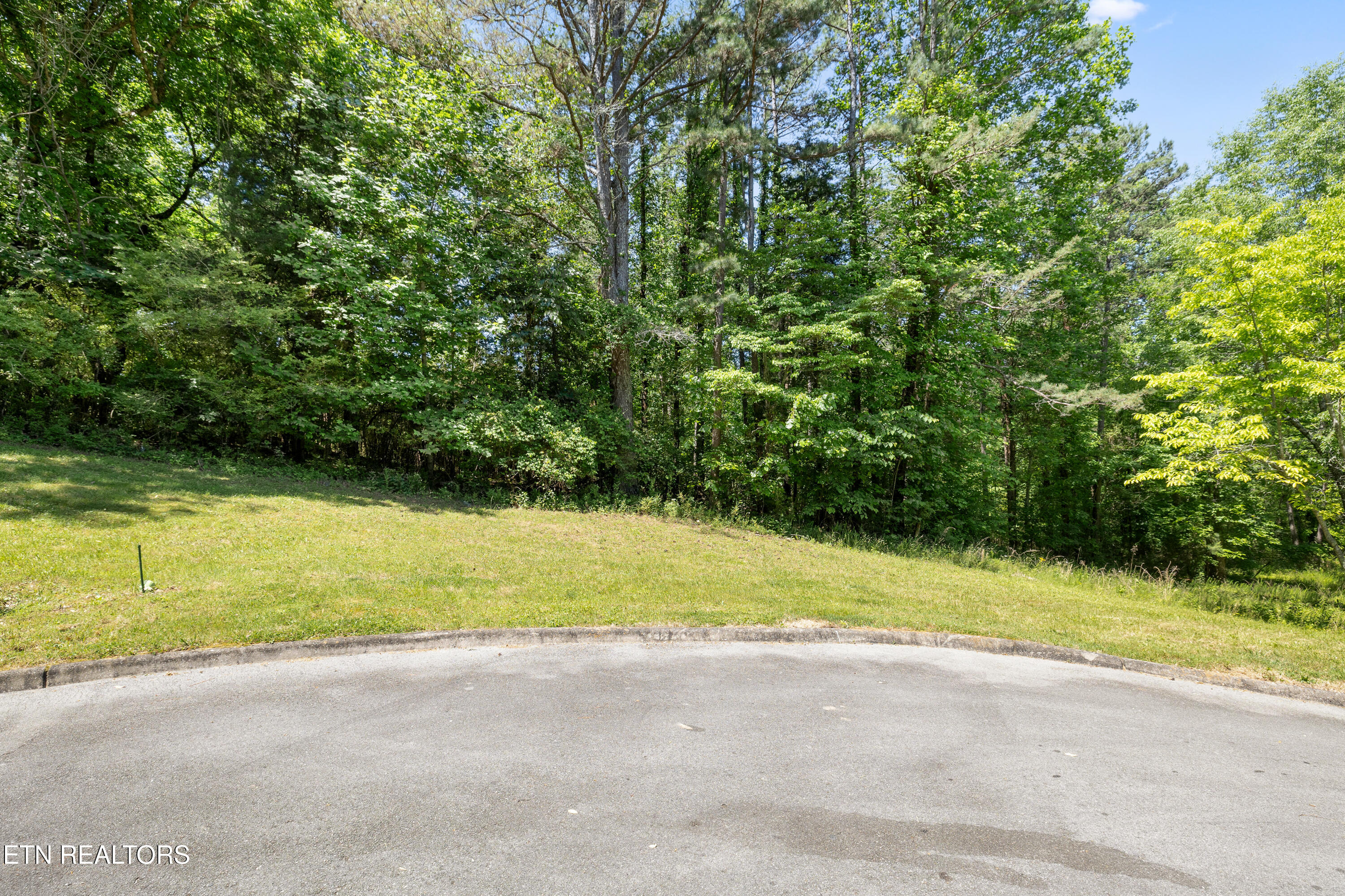 772 Wood Duck Drive Vonore TN 37885
