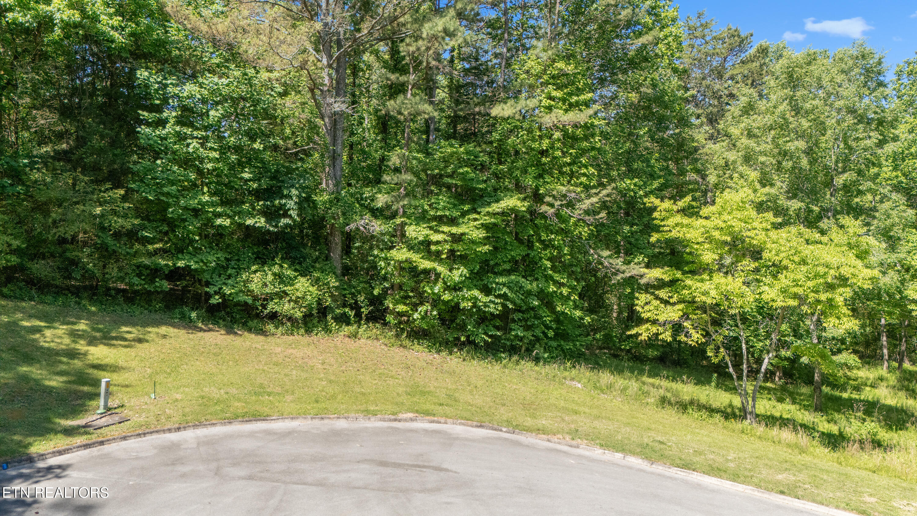772 Wood Duck Drive Vonore TN 37885