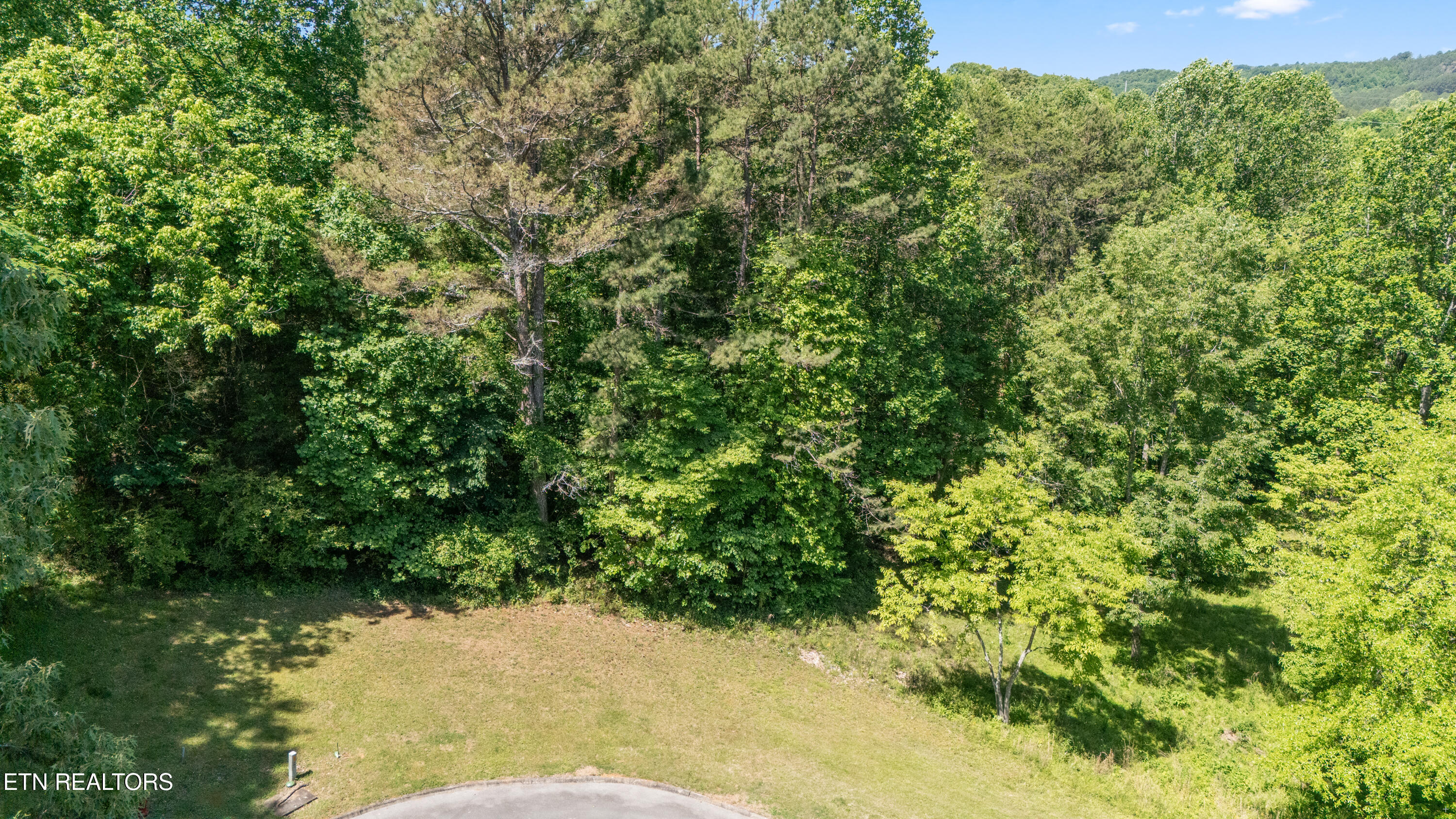 772 Wood Duck Drive Vonore TN 37885