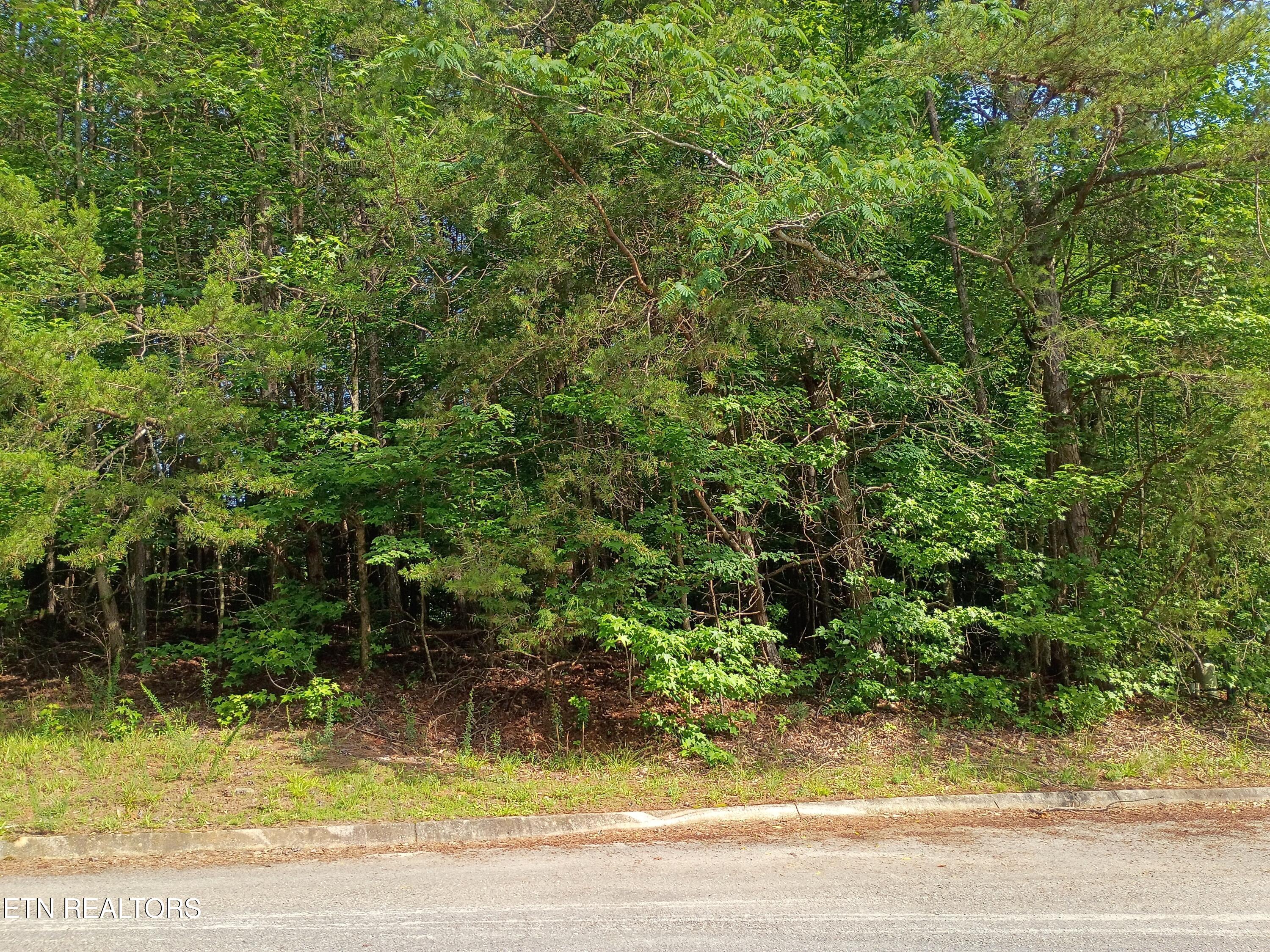 Tanger Court Harriman TN 37748
