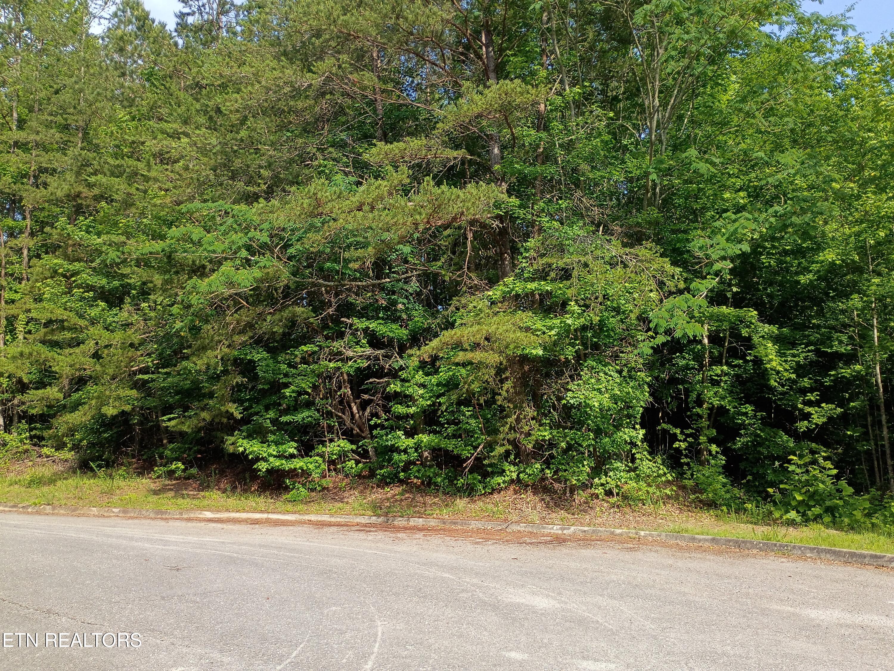Tanger Court Harriman TN 37748