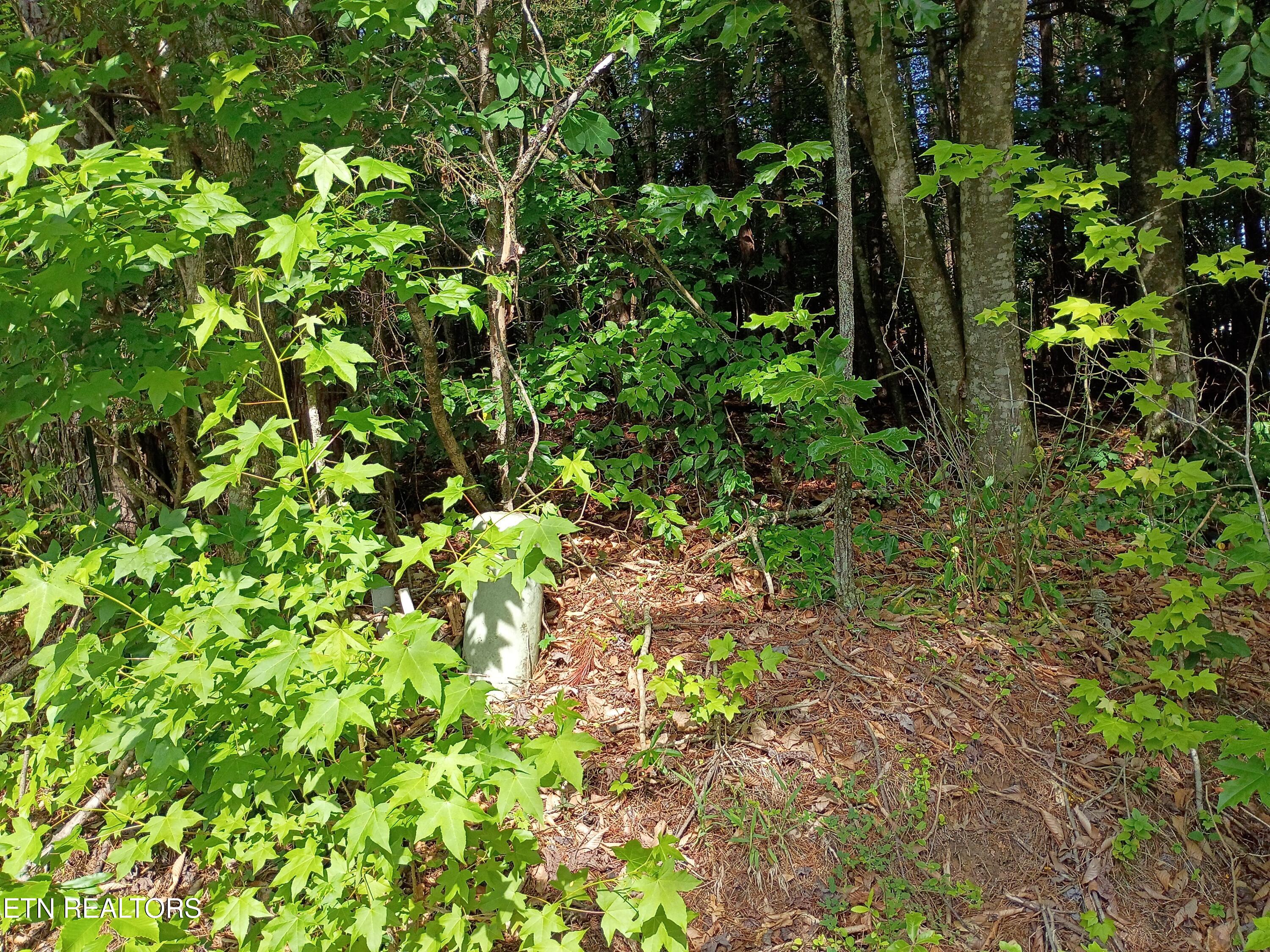 Tanger Court Harriman TN 37748