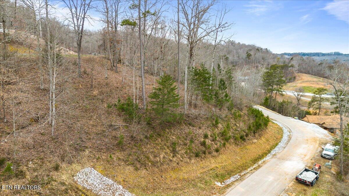 220/221 Suncrest Cove Lafollette TN 37766