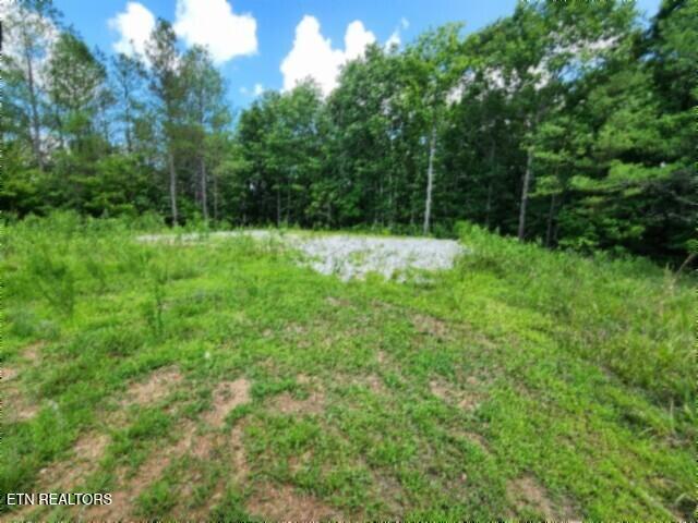 674 Rhodas Way Sunbright TN 37872